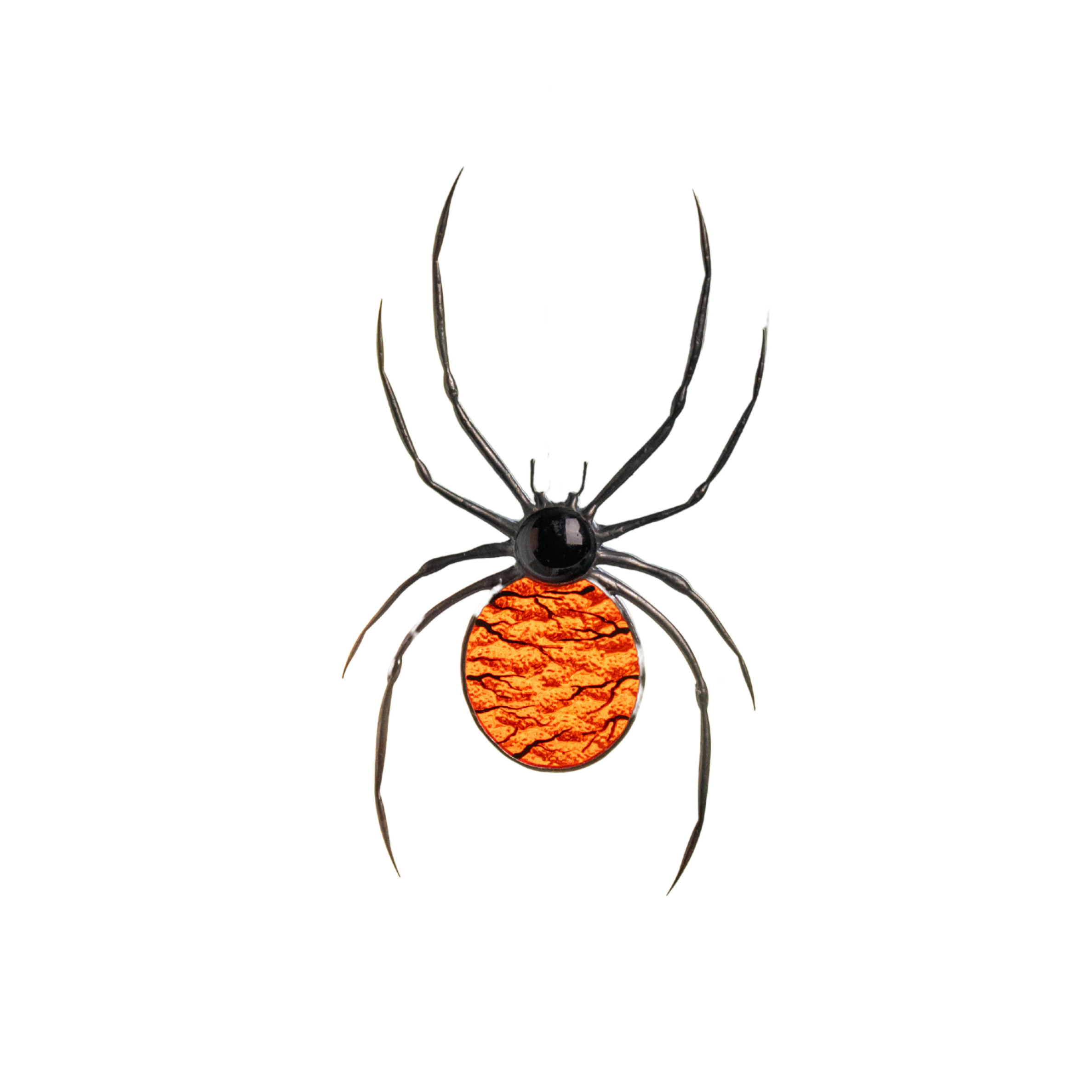 Stained Glass Jumping Spider