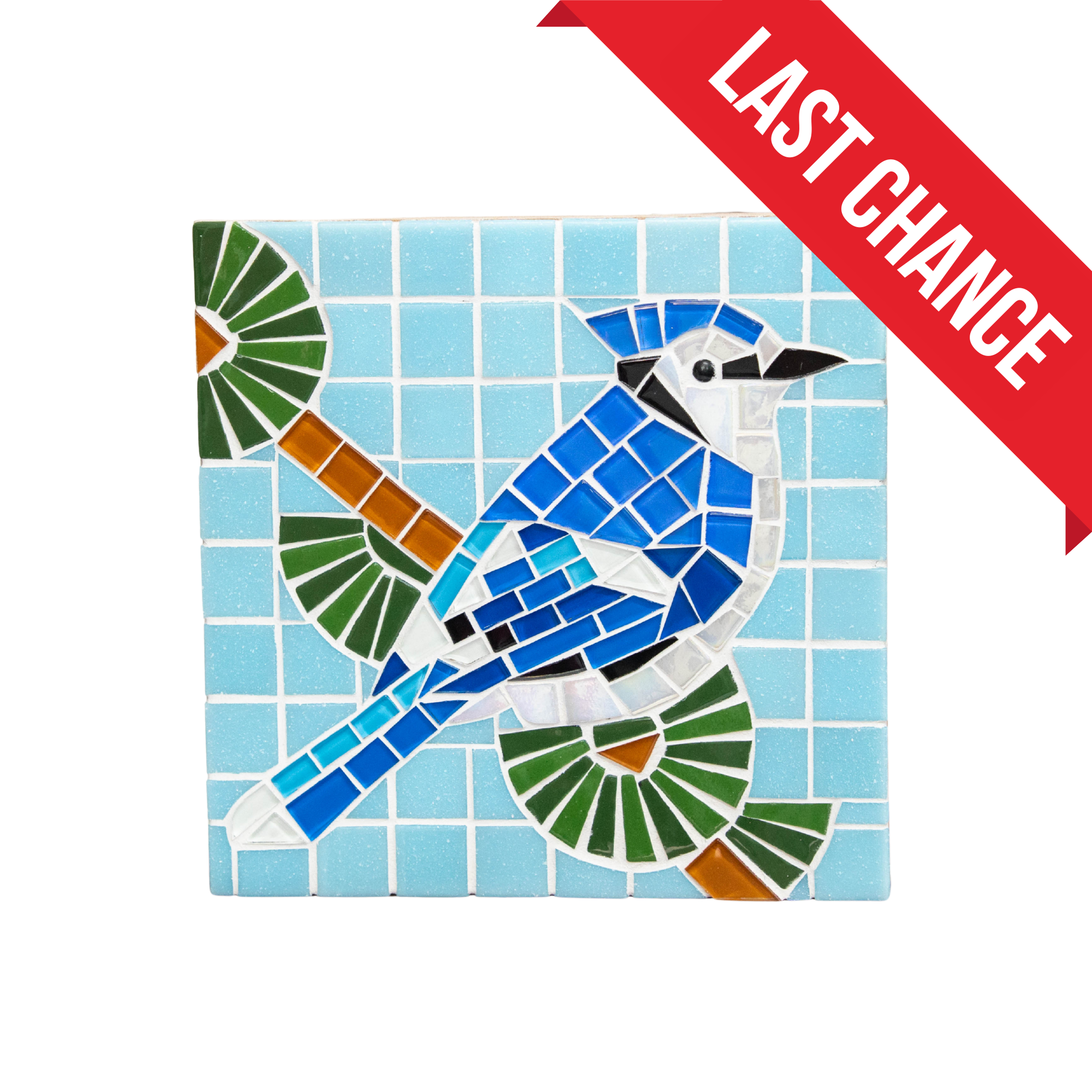 Blue Jay Stained Glass Mosaic DIY Kit