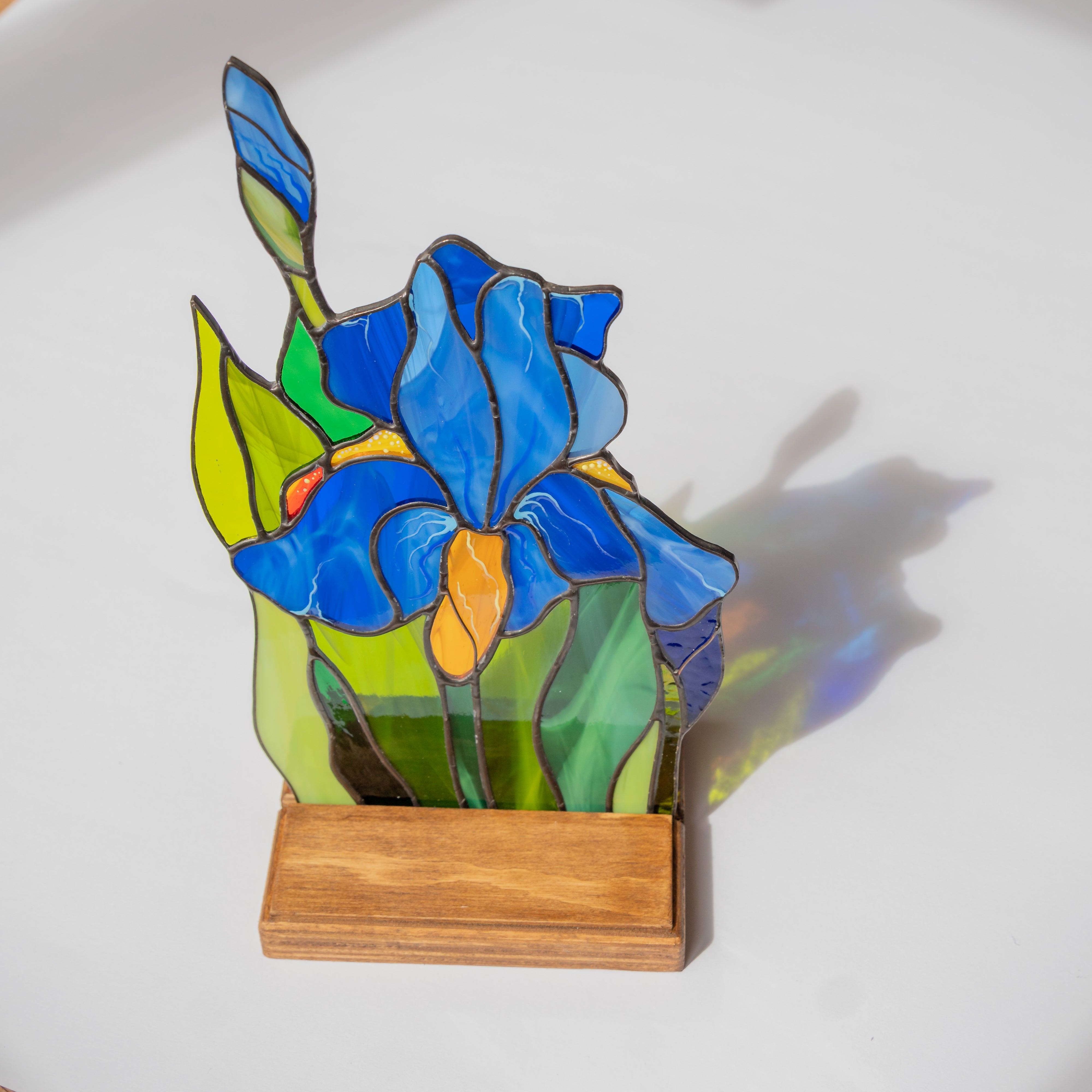 Stained glass iris casting colorful shadow in bright natural light, standing on wooden base.