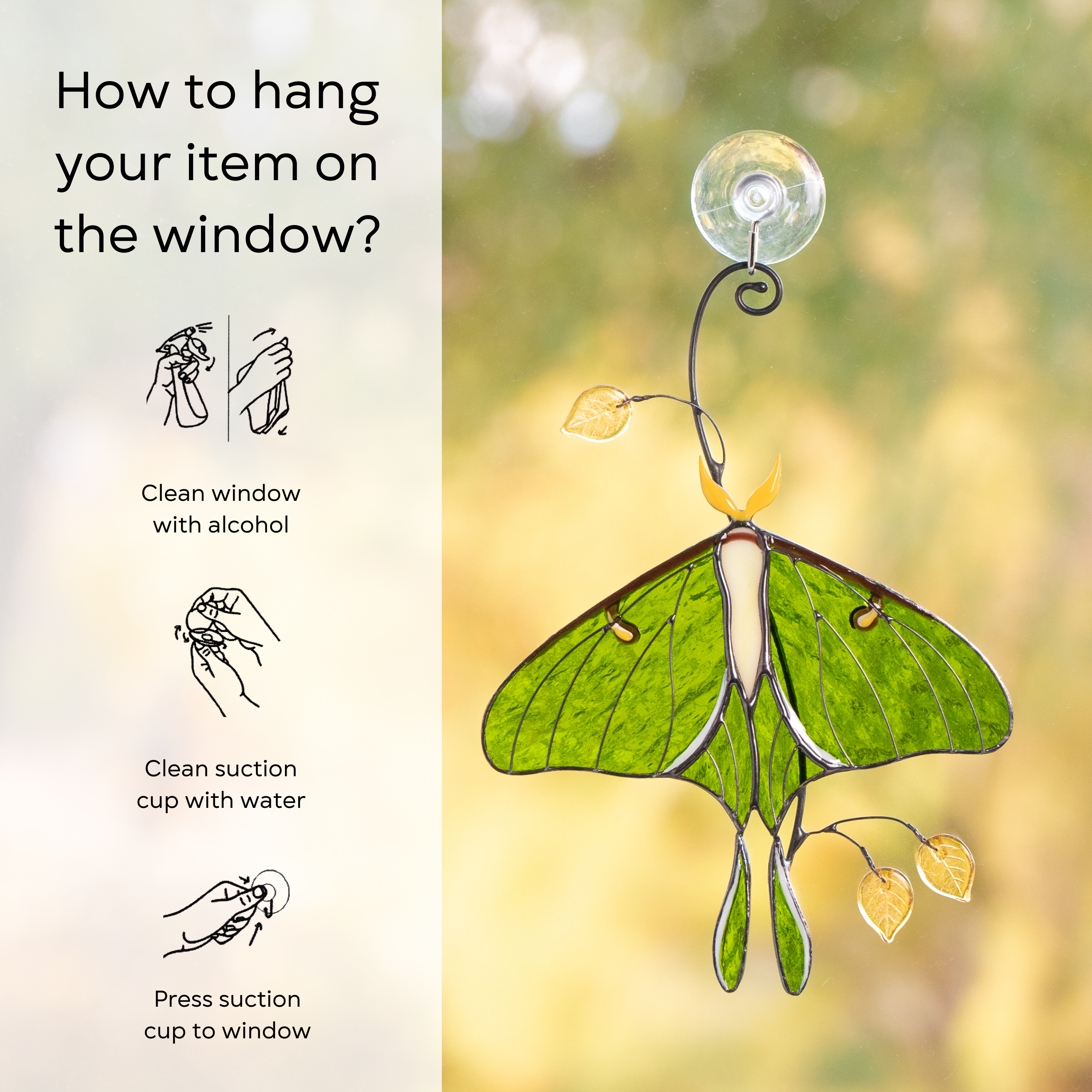 Luna moth stained glass suncatcher attached to a window and instruction about hanging beside: clean window and suction cup, press a cup to the surface.