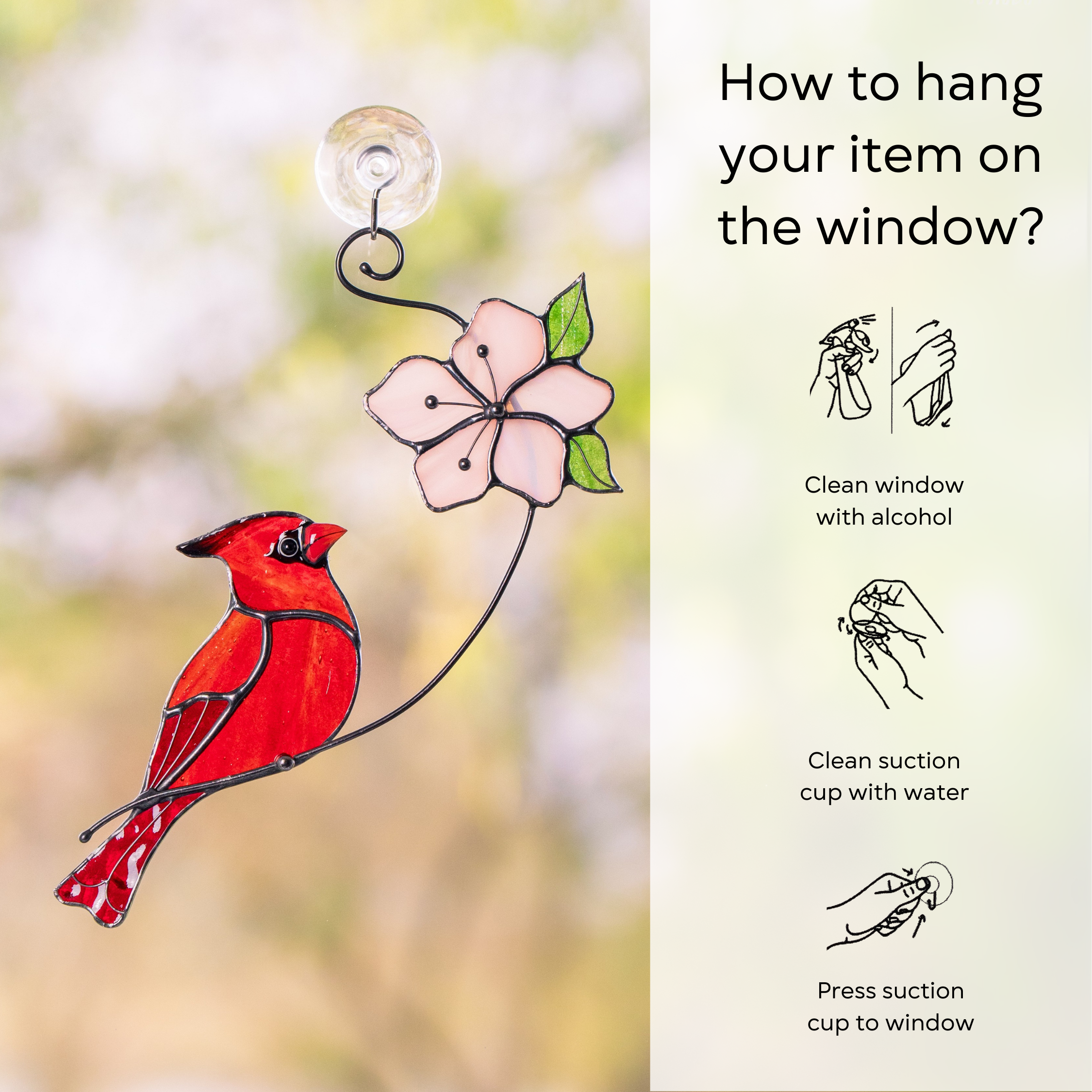 Stained glass cardinal and pink flower hanging on a window with sunlight shining through, with instruction beside: clean window and suction cup, press a cup to the surface.