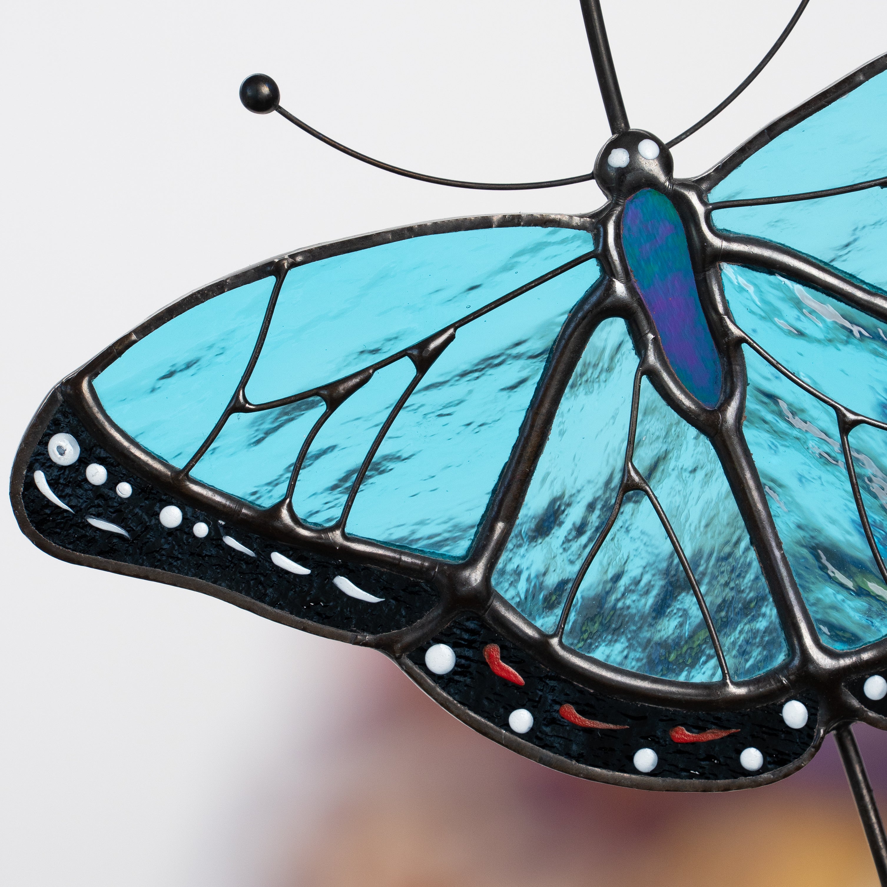 Detailed view of morpho butterfly suncatcher’s lower wing with blue glass and dotted edge.