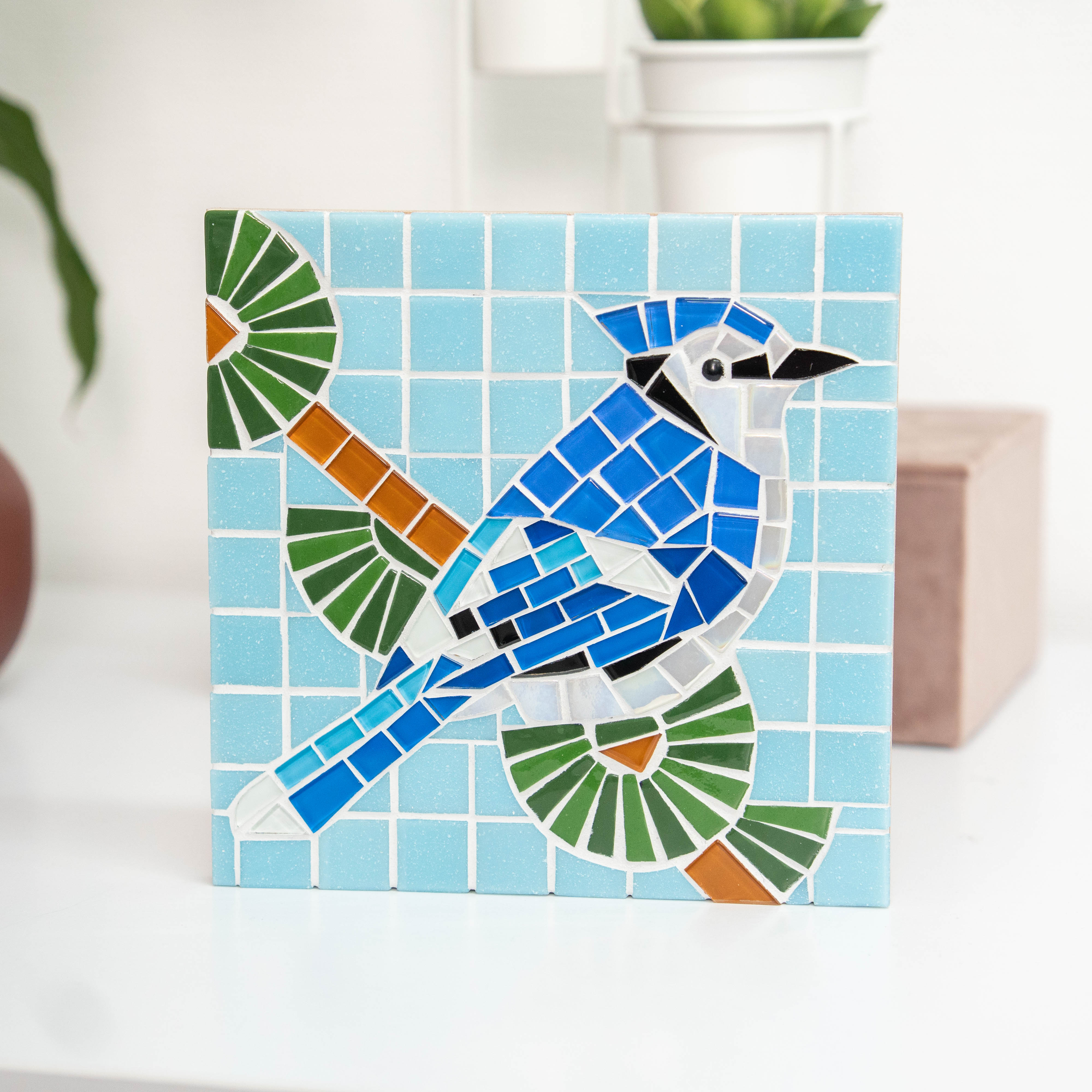 Blue Jay Stained Glass Mosaic DIY Kit