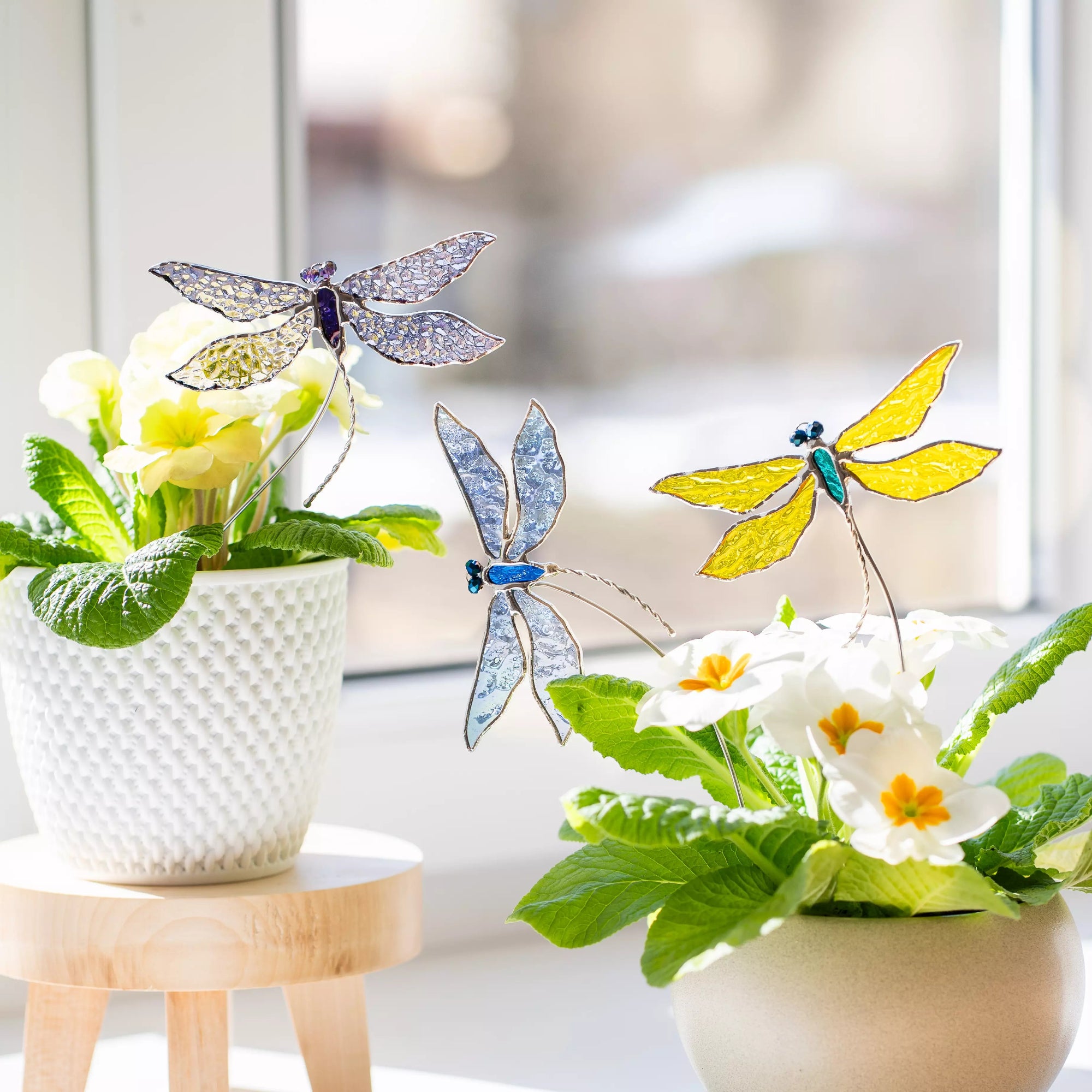 Set of stained glass dragonflies on top of potted plants with a blurred background