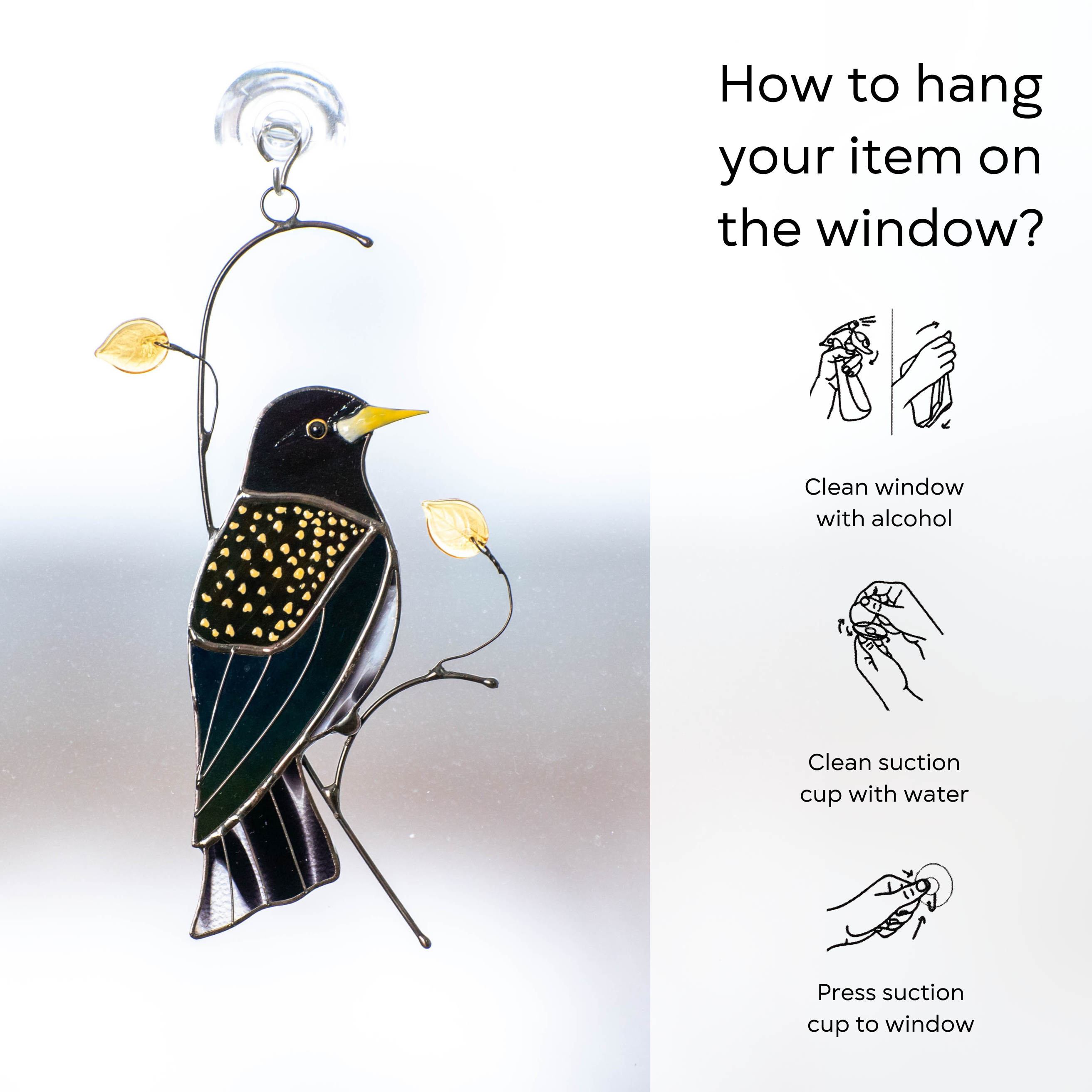 Illustration of how to hang the starling suncatcher on a window using a suction cup: clean window and suction cup, press a cup to the surface.