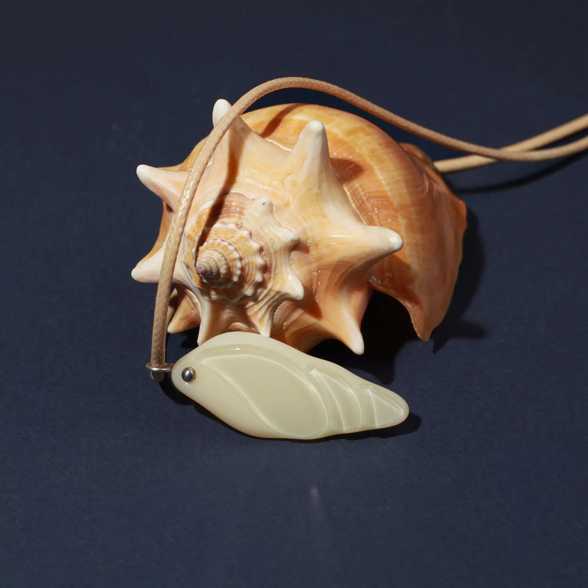 Shell with a decorative stained glass pendant on a dark background