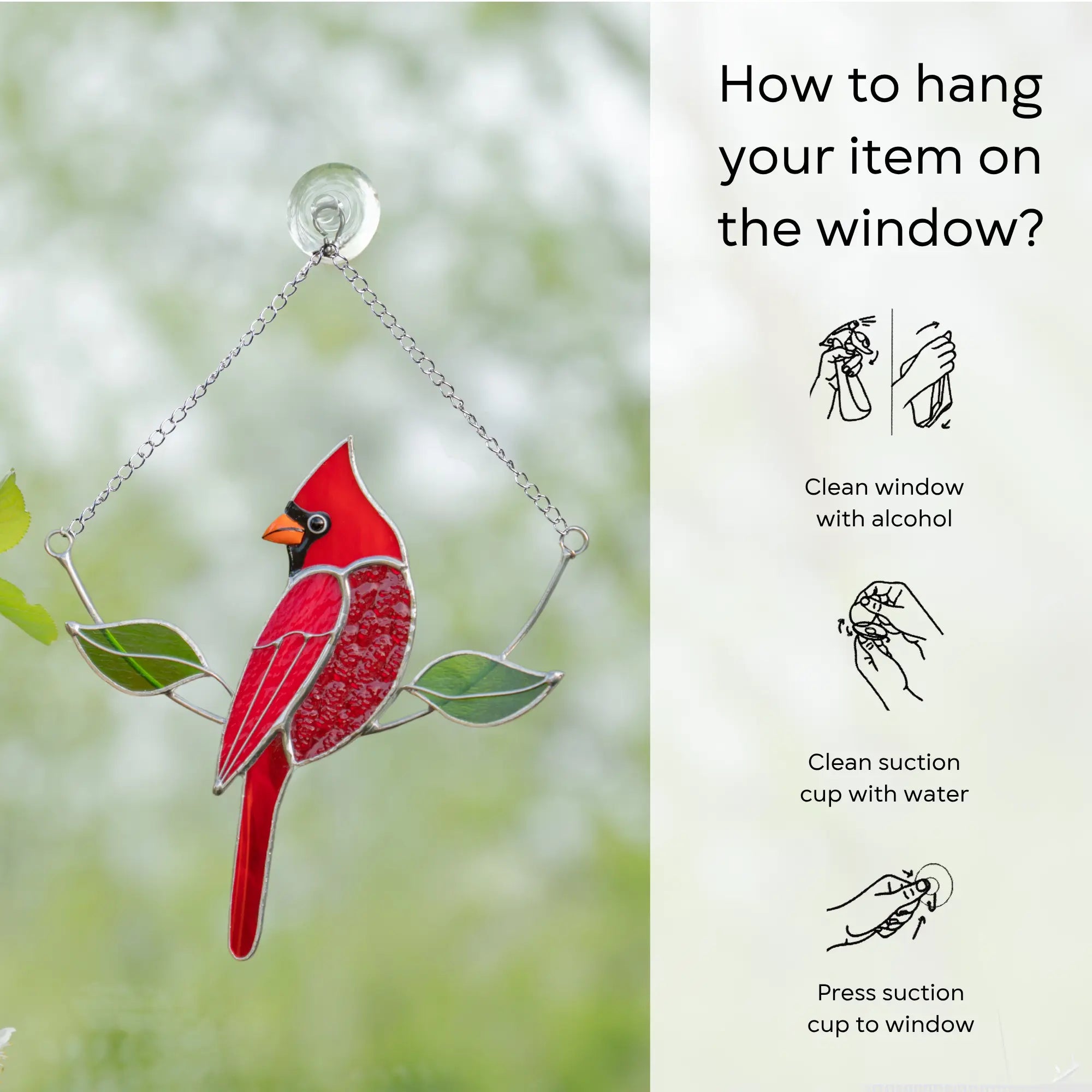 Window-mounted cardinal suncatcher with chain and suction cup, shown with hanging instructions: clean window and suction cup, press a cup to the surface