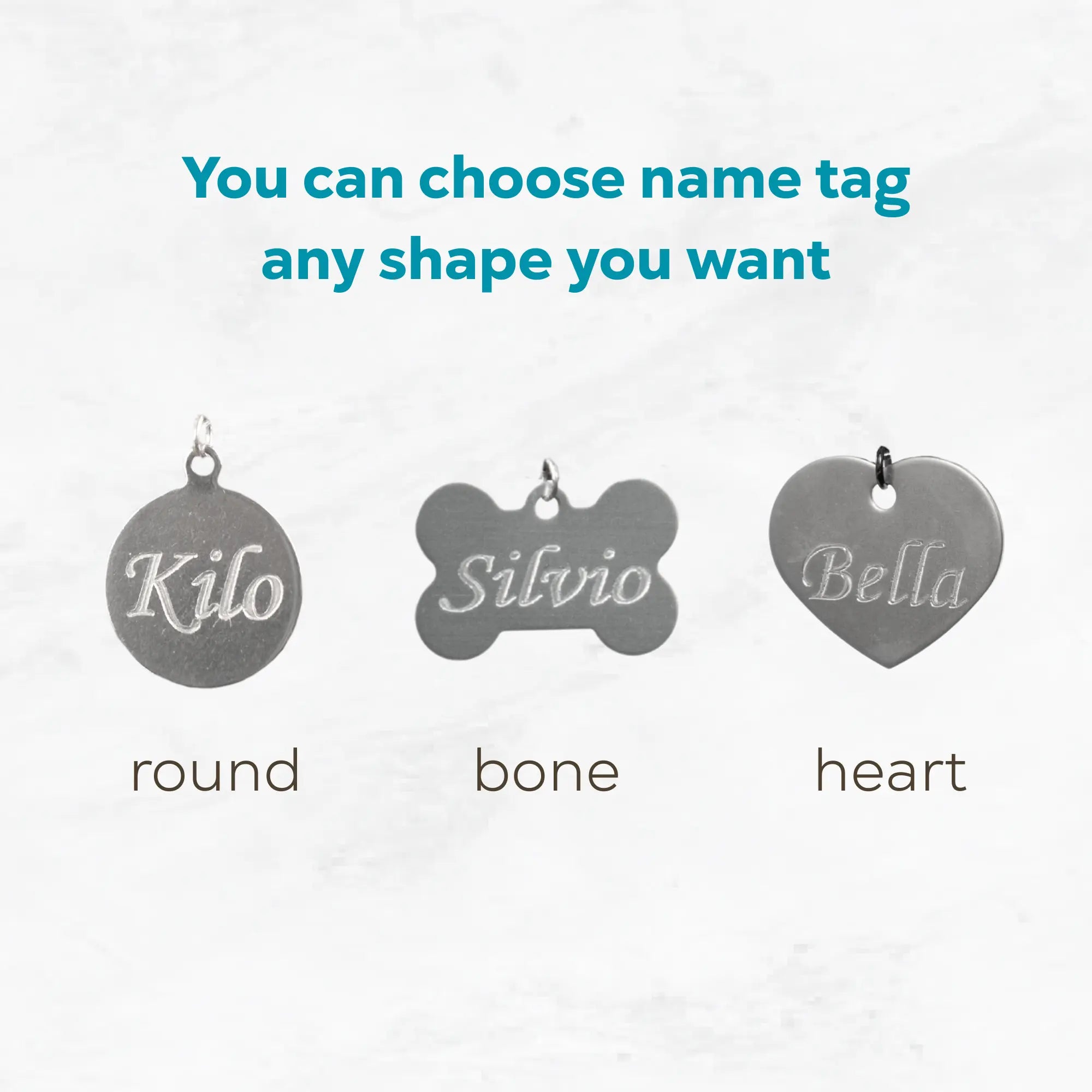 Variation of a three name tags in round, bone, and heart shapes with engraved names on a white background.
