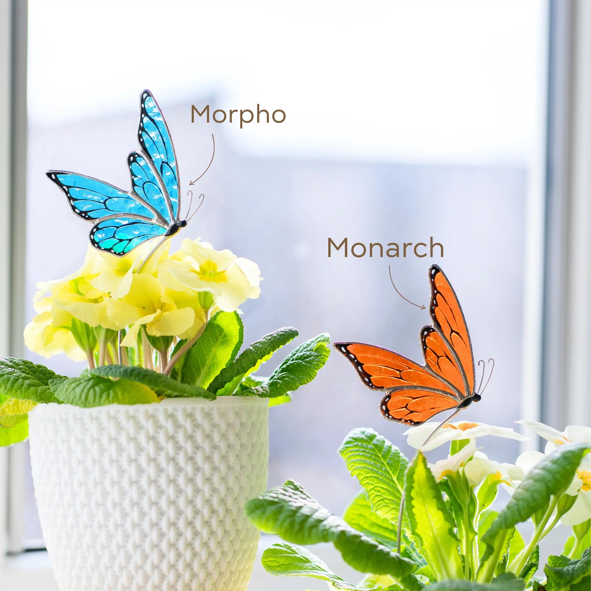 Two butterfly stained glass plant stakes labeled 'Morpho' and 'Monarch' on plants with a blurred window background.