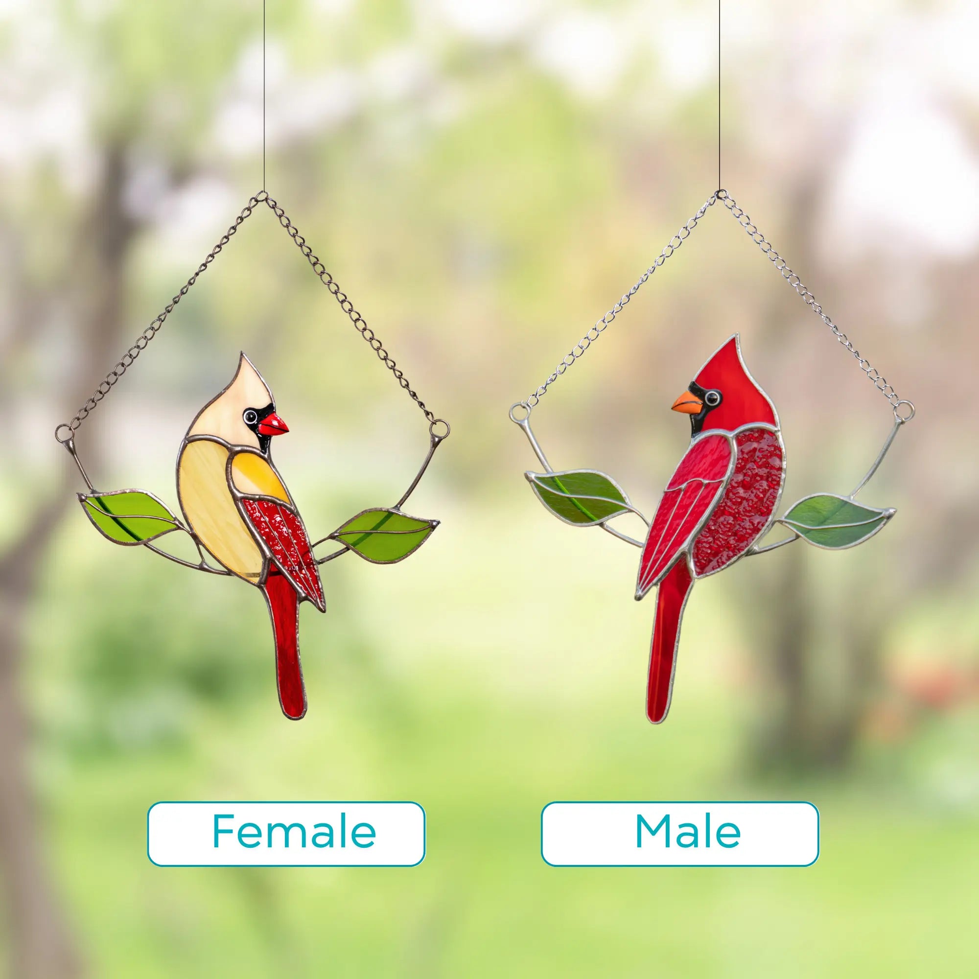 Two stained glass cardinals, one red male and one female beige, hanging side by side with green leaves