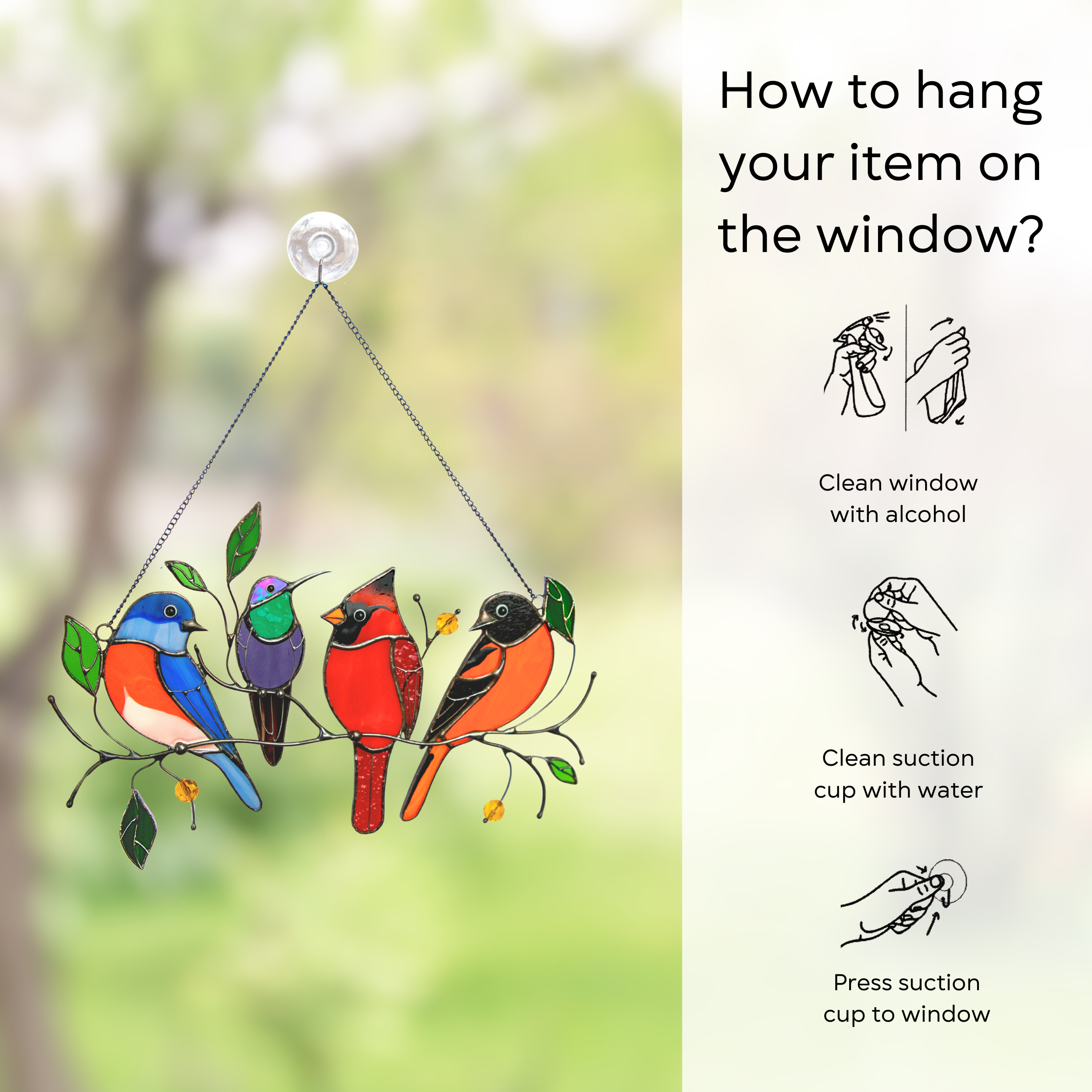 Illustrated instructions on how to hang a stained glass suncatcher with a suction cup, bird piece pictured left.