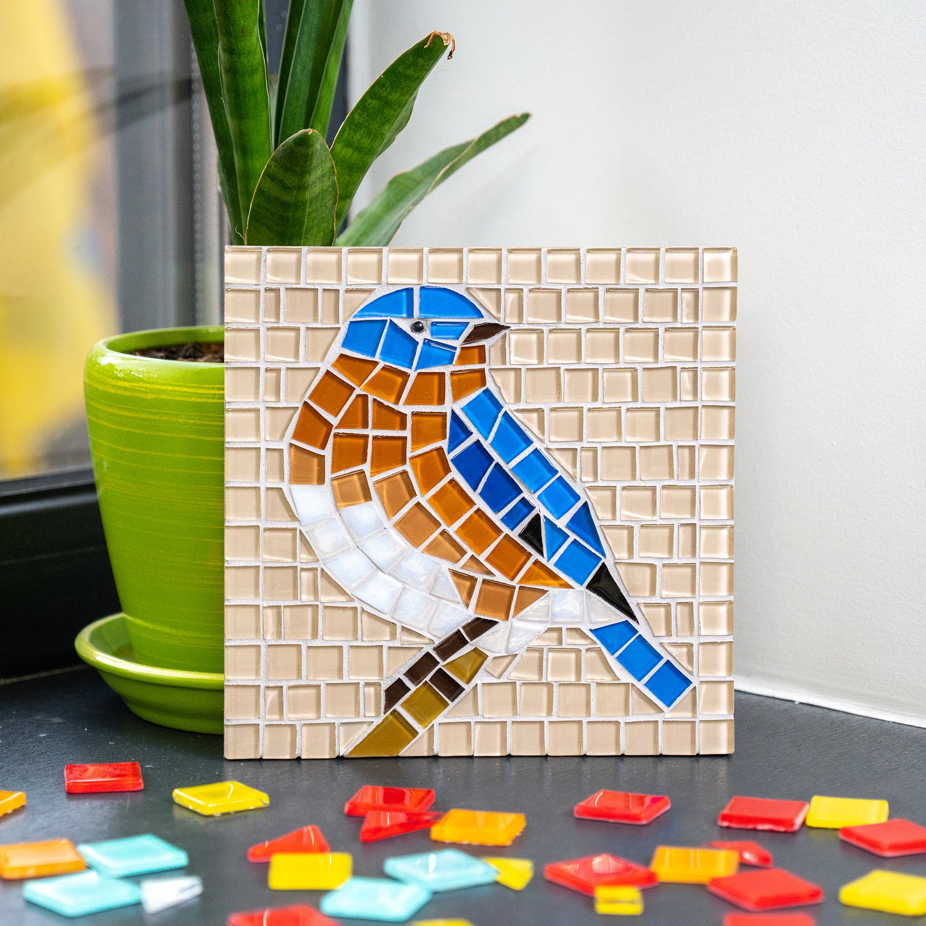 DIY Kit Bird Mosaic Kit for Adults Christmas Gifts Hummingbird Gifts Glass  Mosaic Craft Kit for Adults 