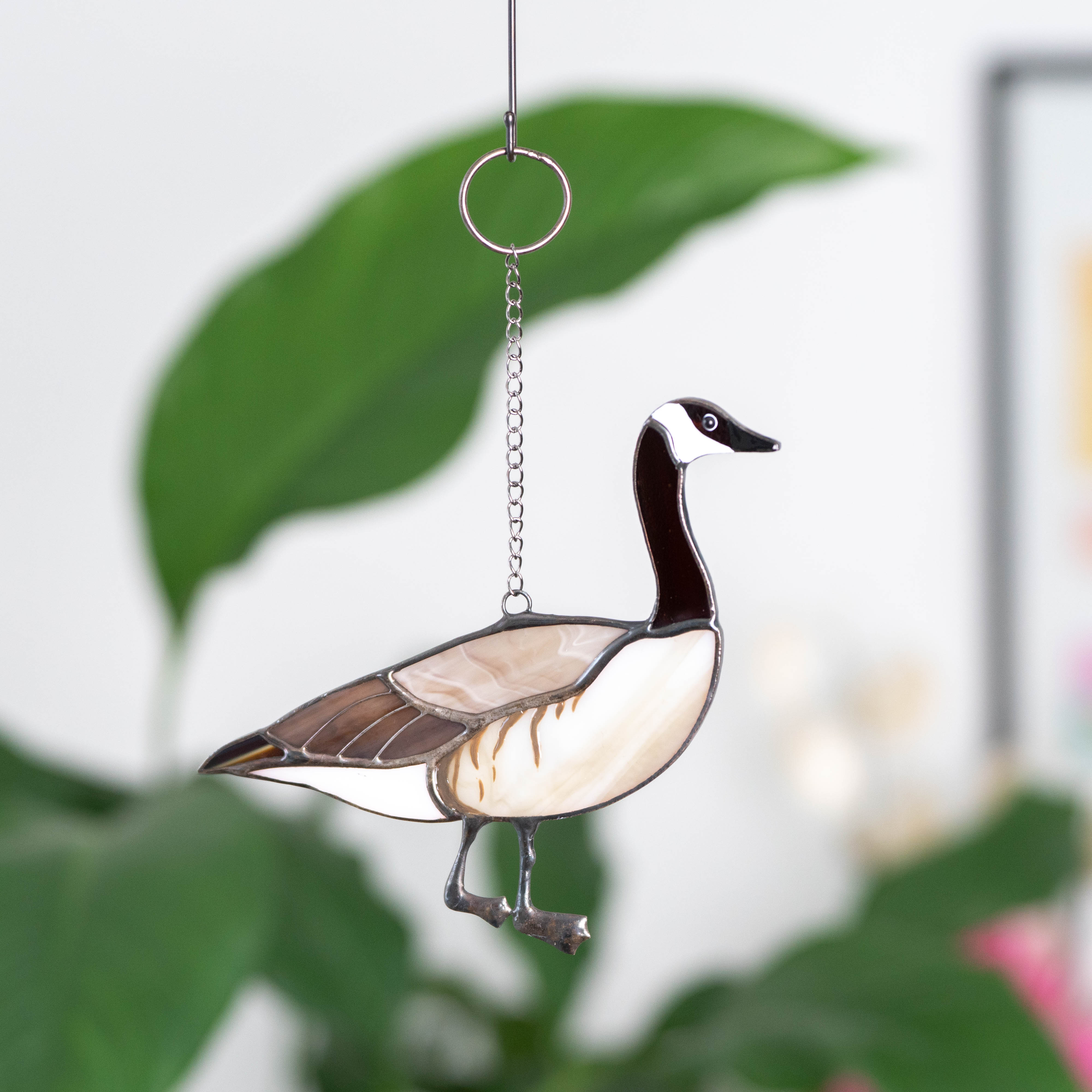 Canadian goose looking right window hanging of stained glass
