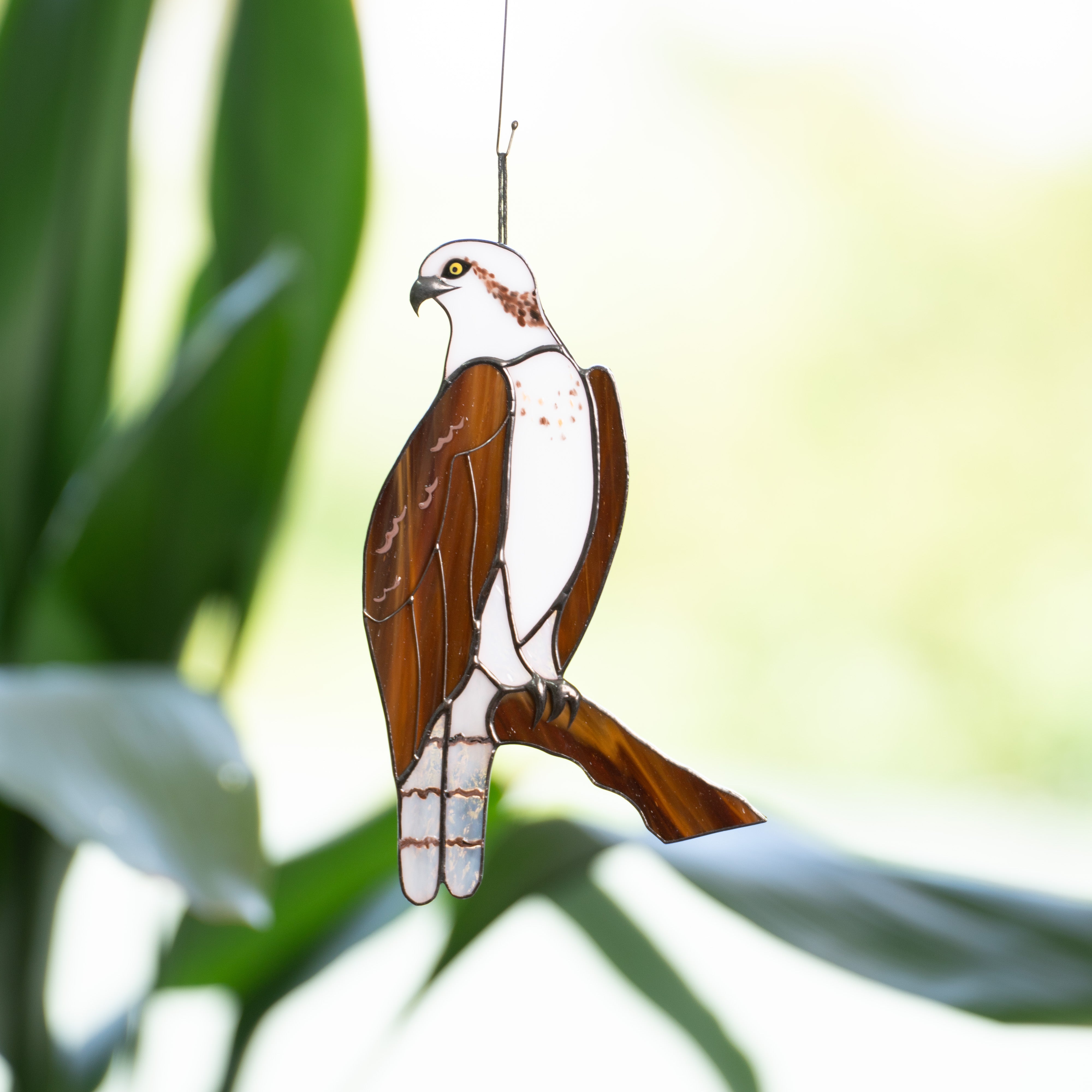 Osprey sitting on the branch suncatcher of stained glass