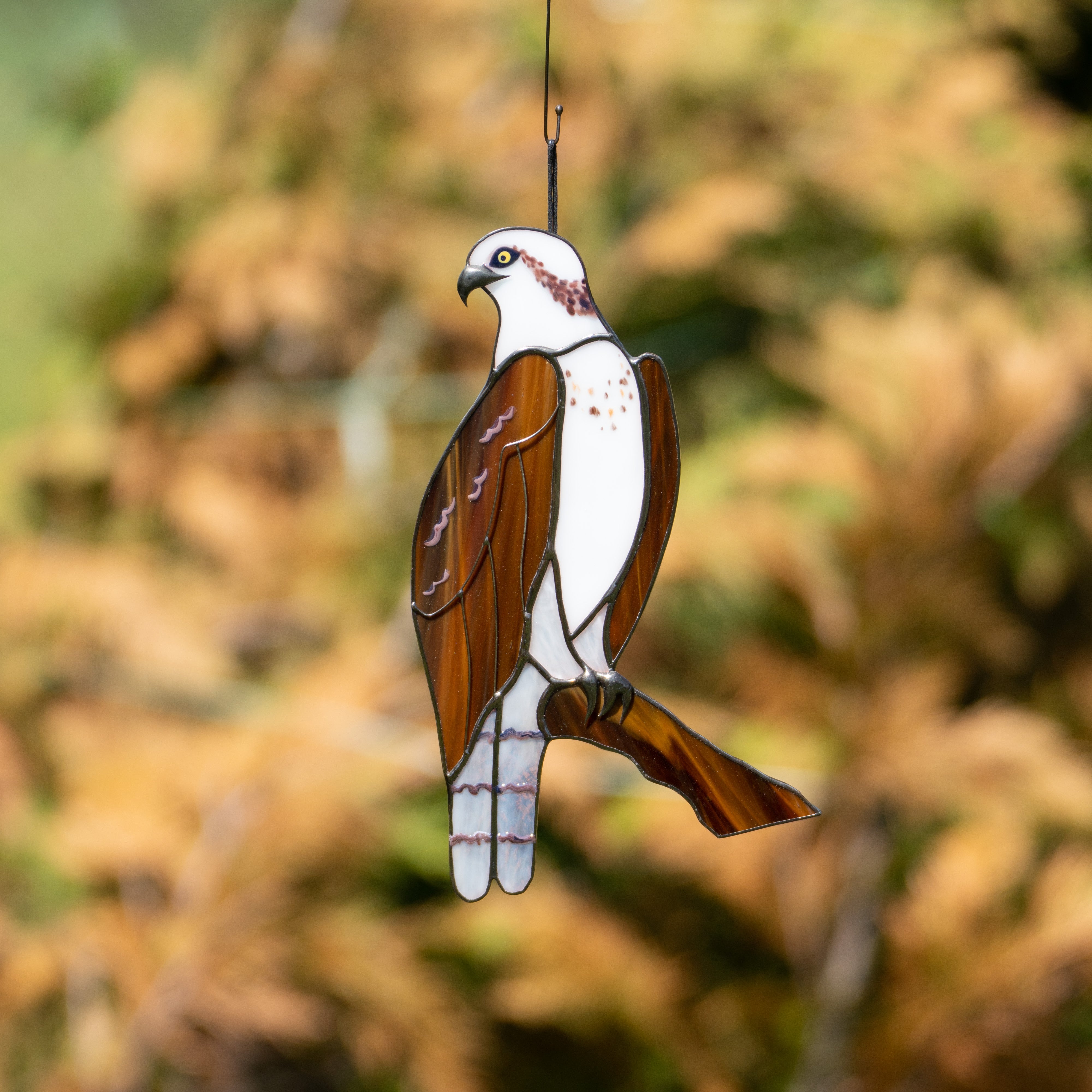 Osprey on the branch window hanging of stained glass