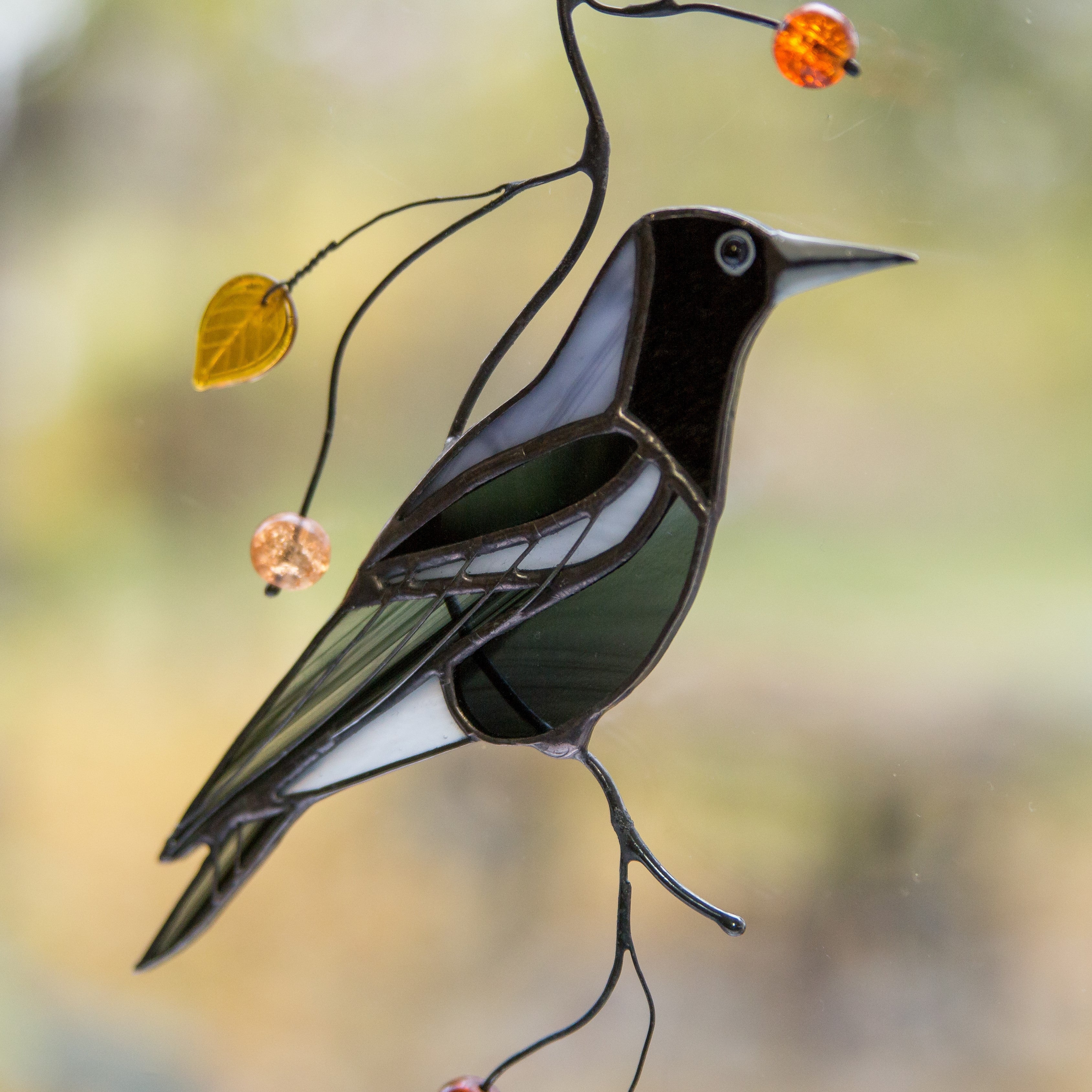 Zoomed Australian magpie window hanging