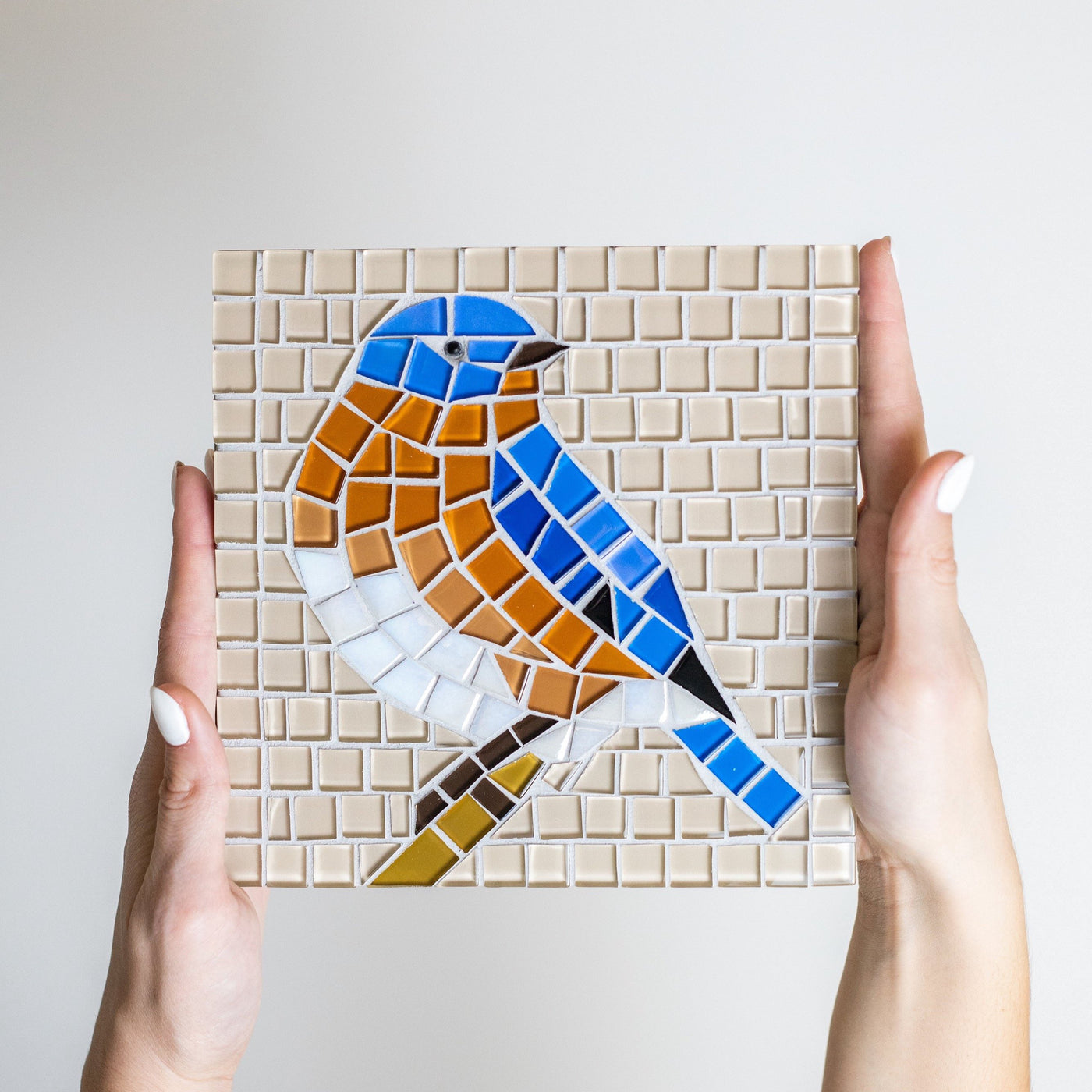 Square bluebird glass mosaic