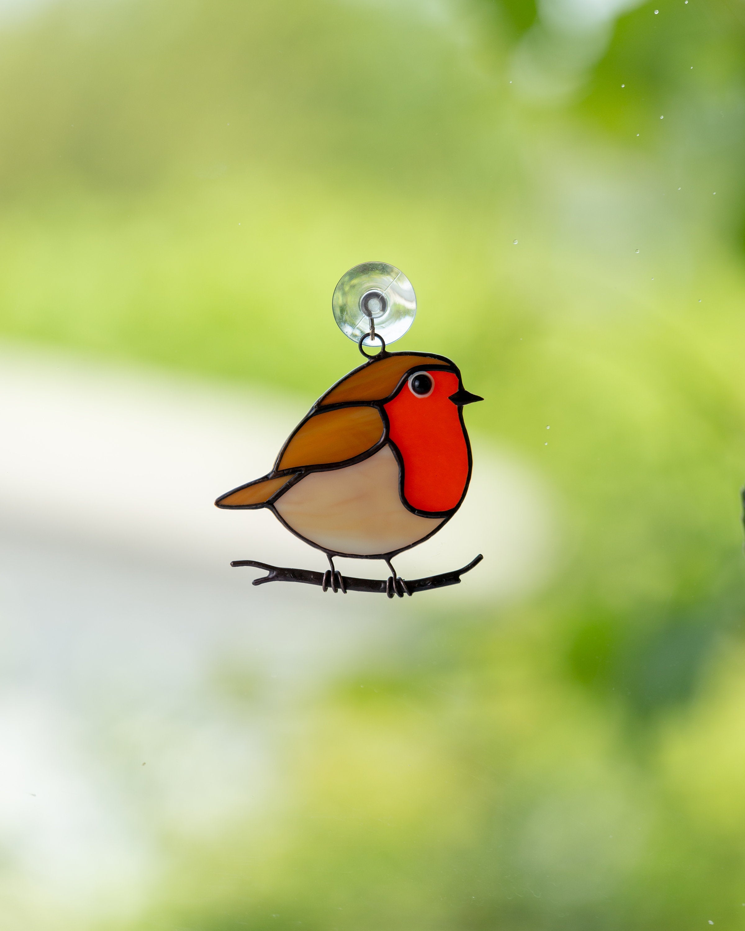 Robin