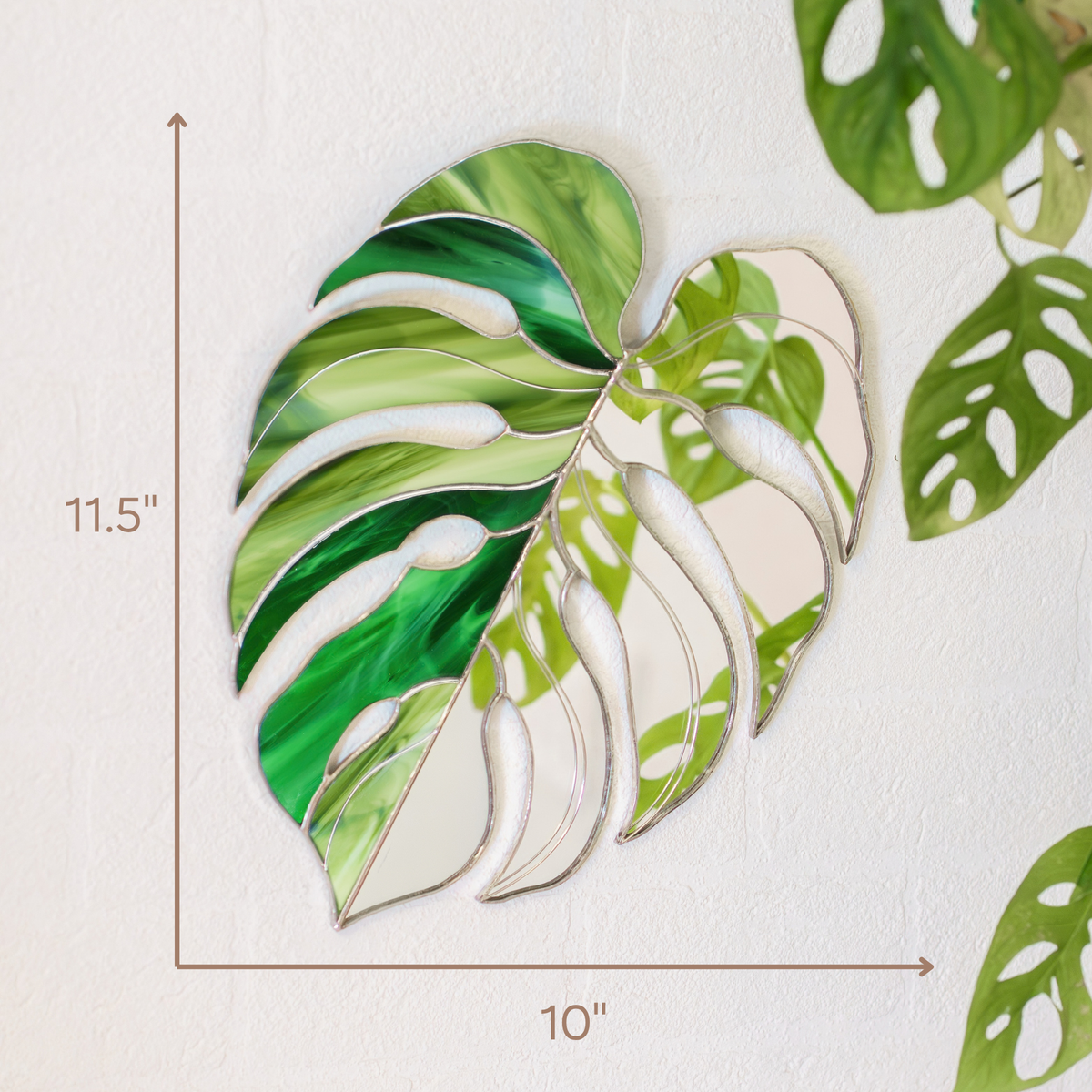 Monstera Leaf Stained Glass Mirror on a white wall beside a trailing monstera plant, measuring 11.5 inches tall by 10 inches wide - handmade stained glass wall decor in green glass and mirror
