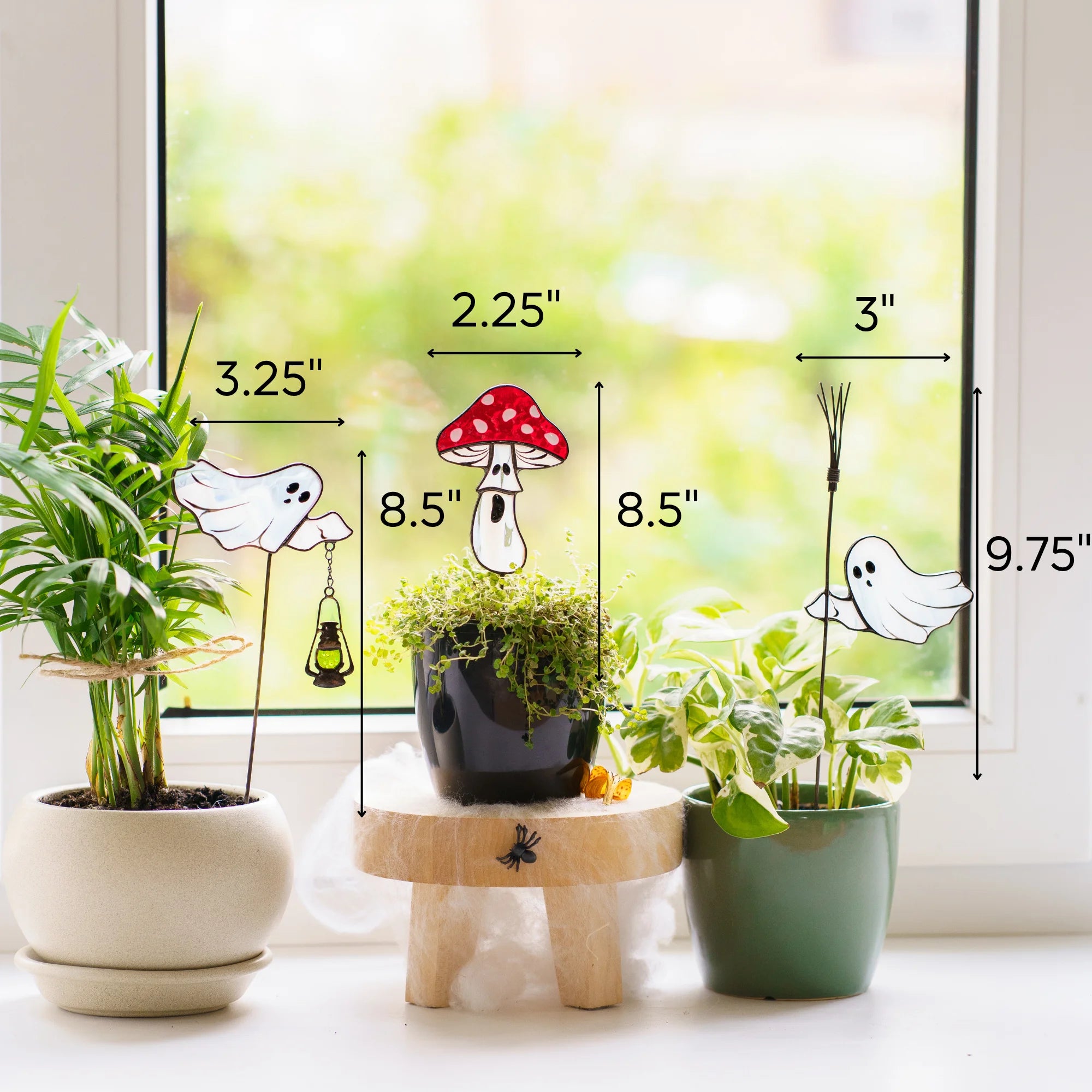 Three small potted plants arranged on a windowsill with dimensions: ghost with lantern sized 3.25 x 8.5 inches, mushrrom sized 2.25 x 8.5 inches, ghost with broom sized 3 x 9.75
