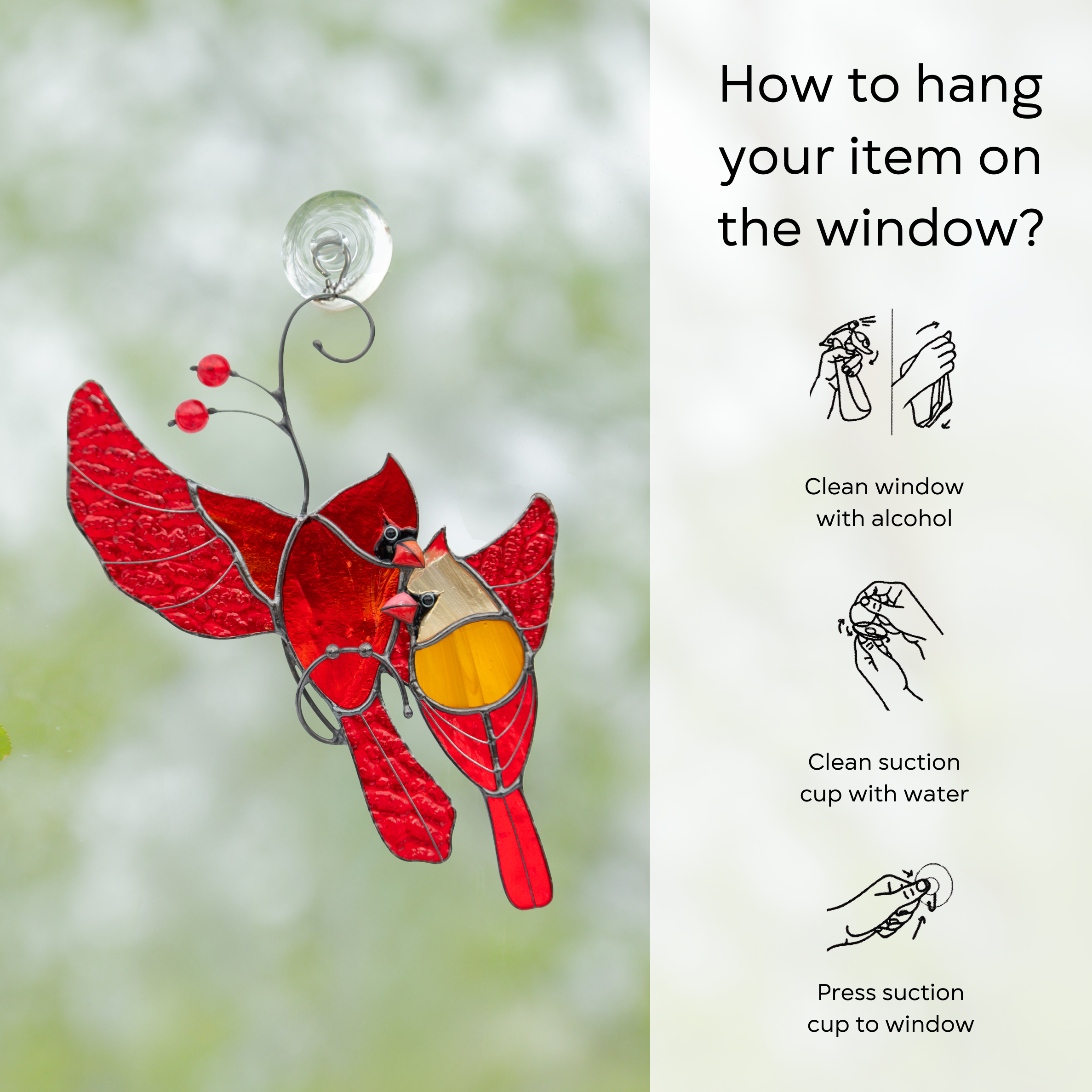 Cardinal pair on suction cup with steps for hanging and message: clean window, press to surface
