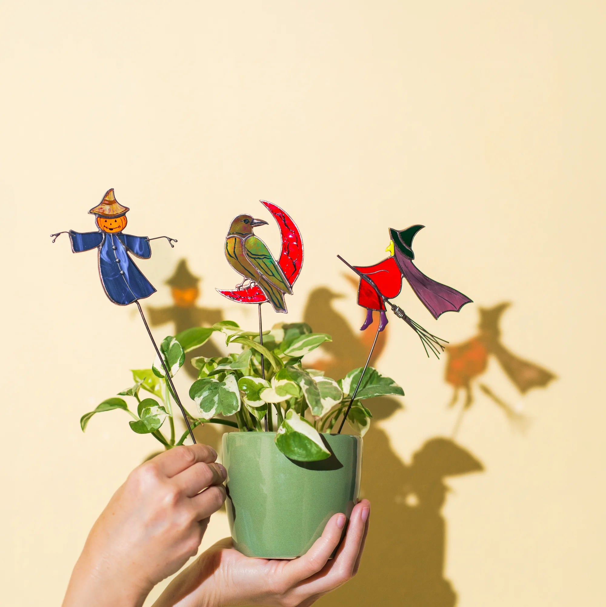 Hands holding a green pot with three Halloween stained glass plant stakes, their scarecrow, raven and witch shadows thrown across a warm yellow wall in low autumn sun