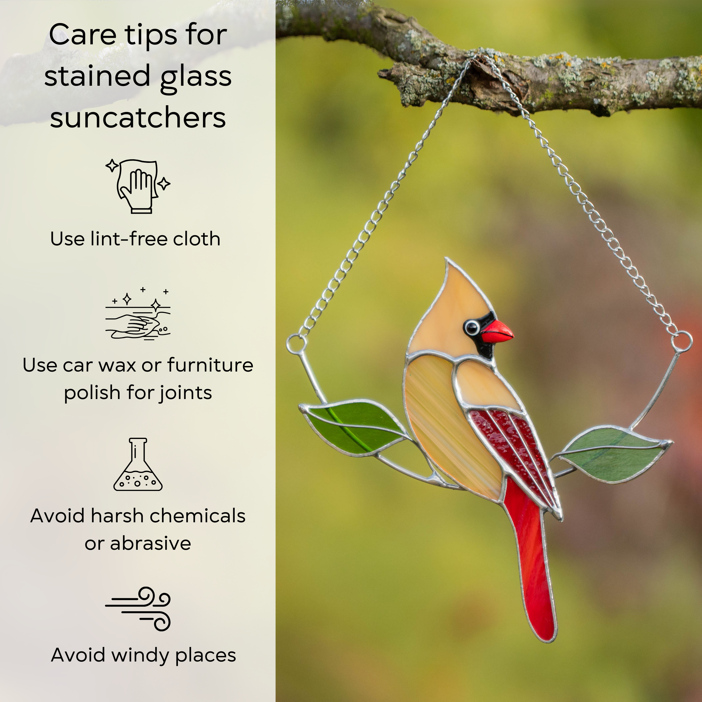 Stained glass female cardinal hanging on a tree branch, with tips about it's cleaning and keeping safe: use lint-free clothes, avoid harsh chemicals and windy places