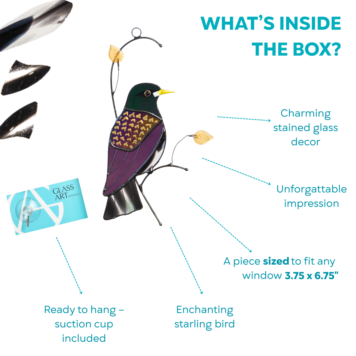 Containing of box showing a stained glass starling with purple body and suction cup for window hanging.
