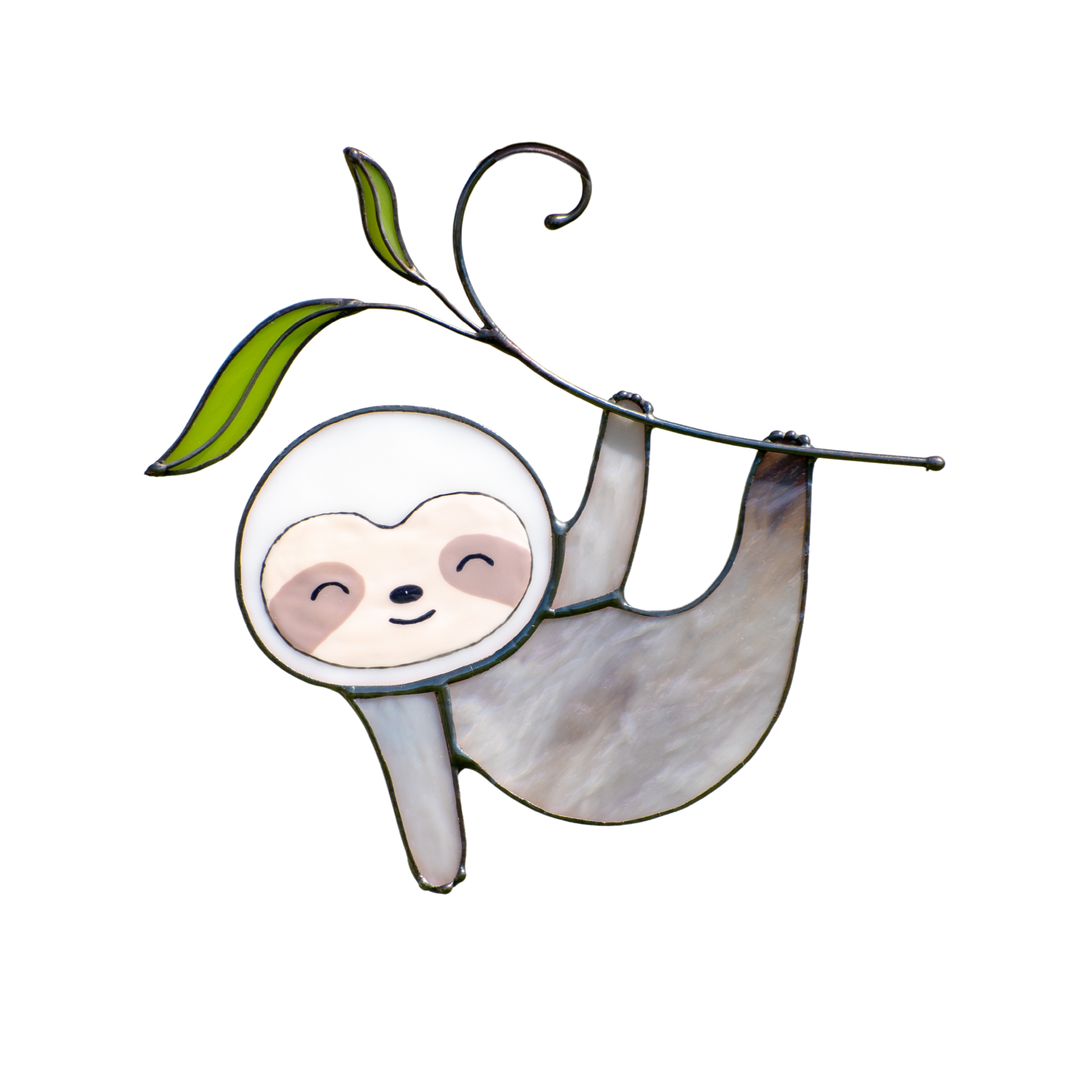 Sloth hanging on the branch with green leaf