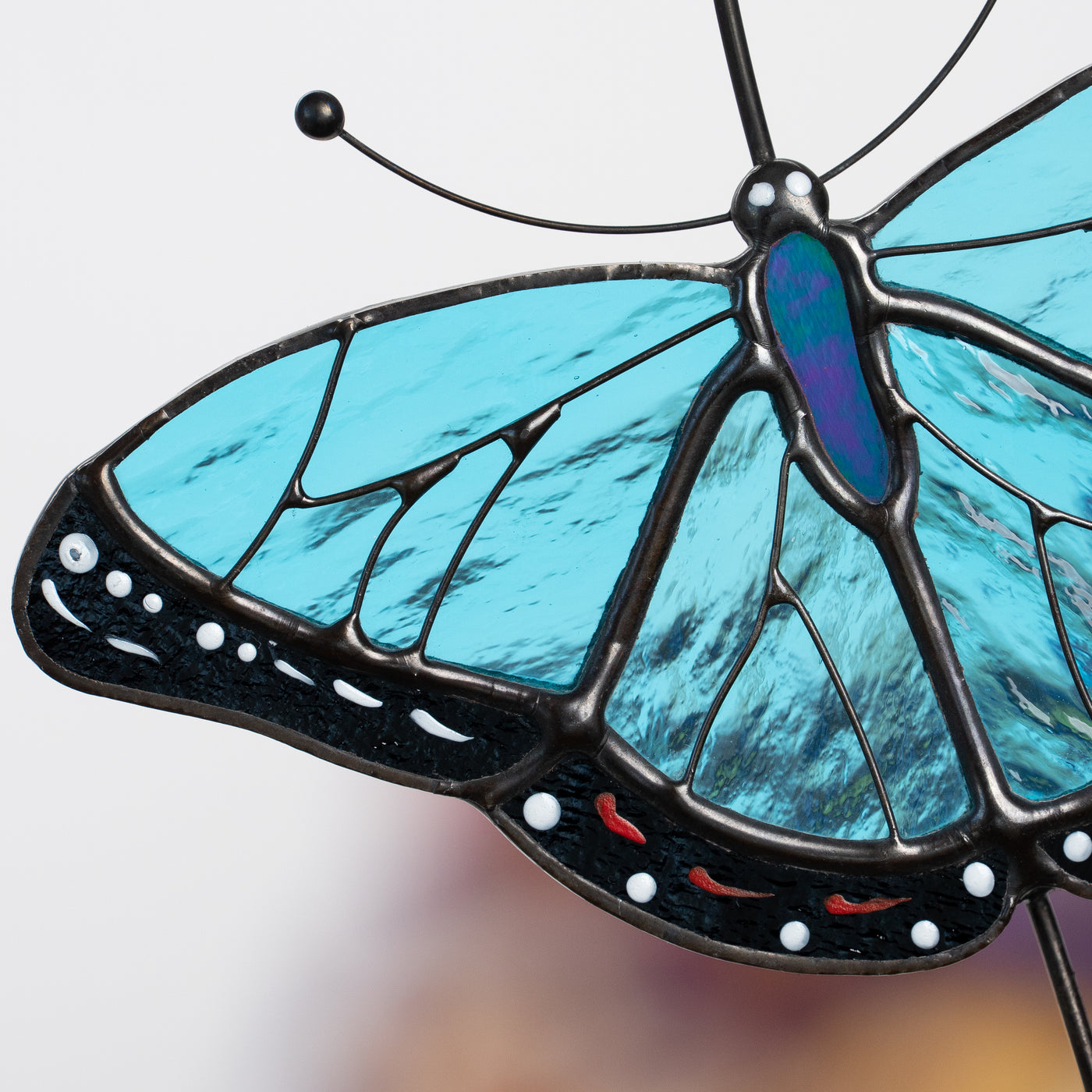 Detailed view of morpho butterfly suncatcher’s lower wing with blue glass and dotted edge.