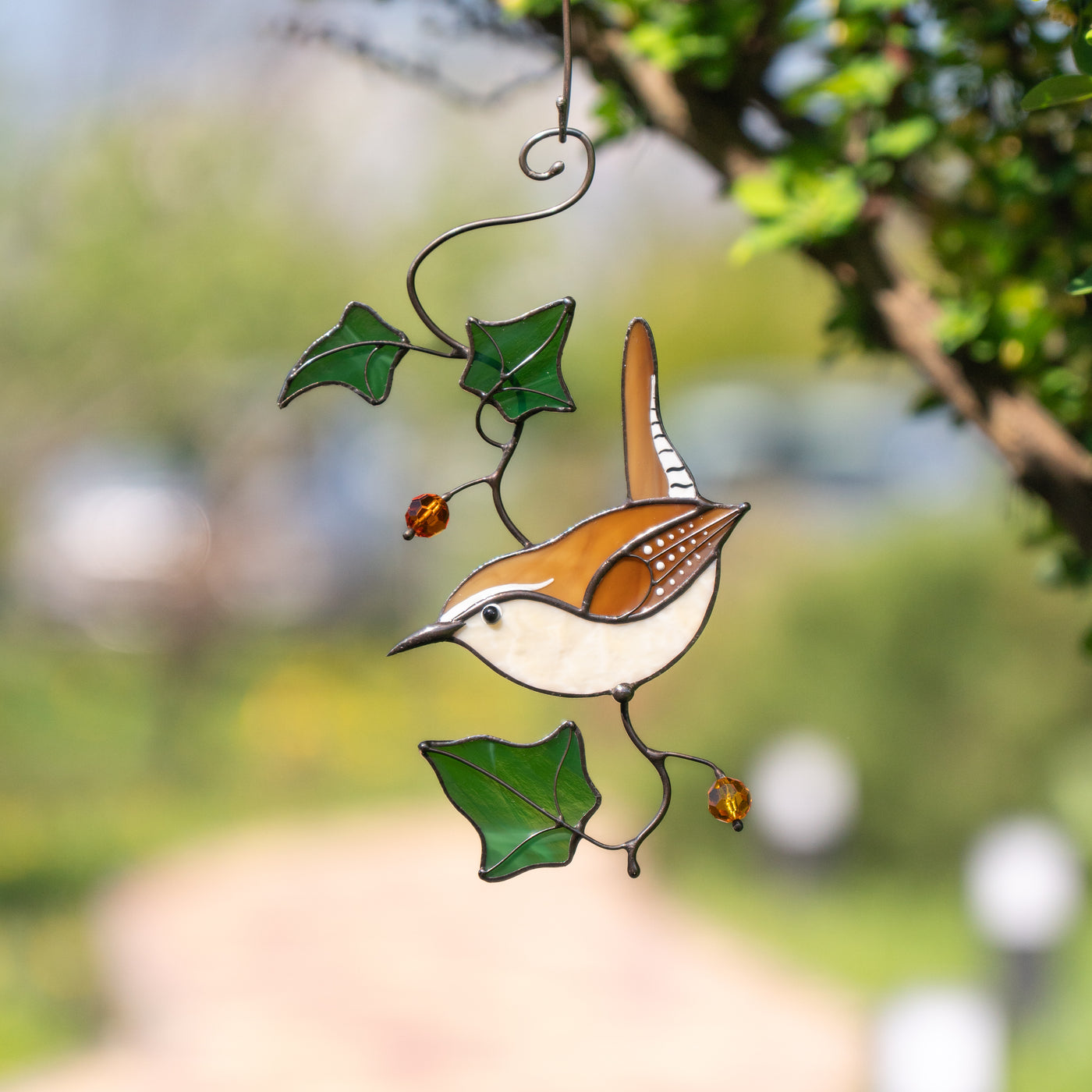 Carolina Wren Bird