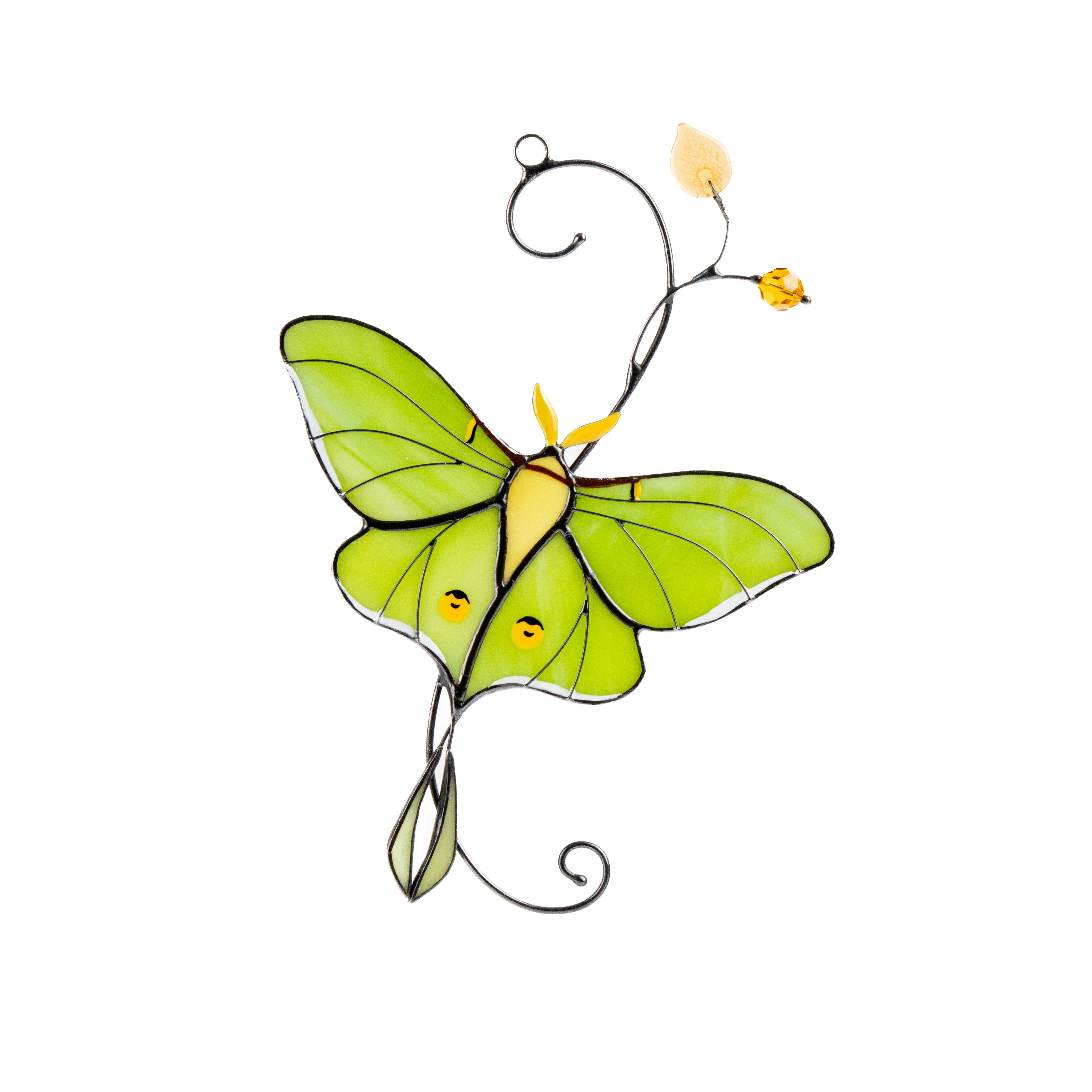 Luna Moth Butterfly