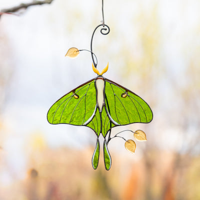 stained glass butterfly decor
