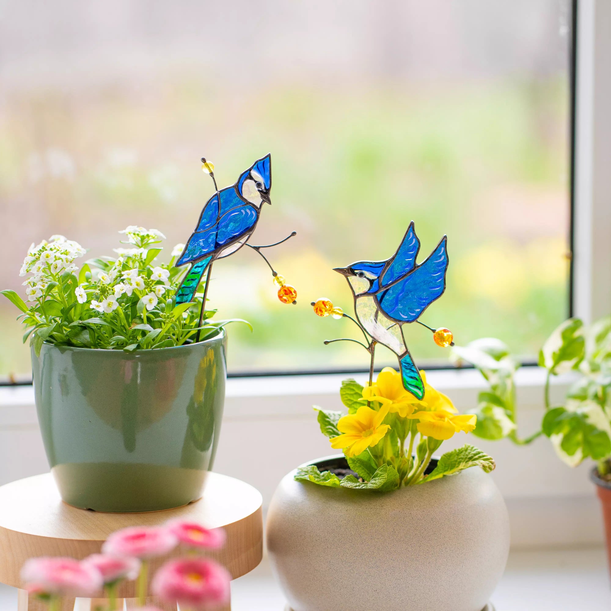 Stained glass blue jay birds on branches with flowers in pots by a window