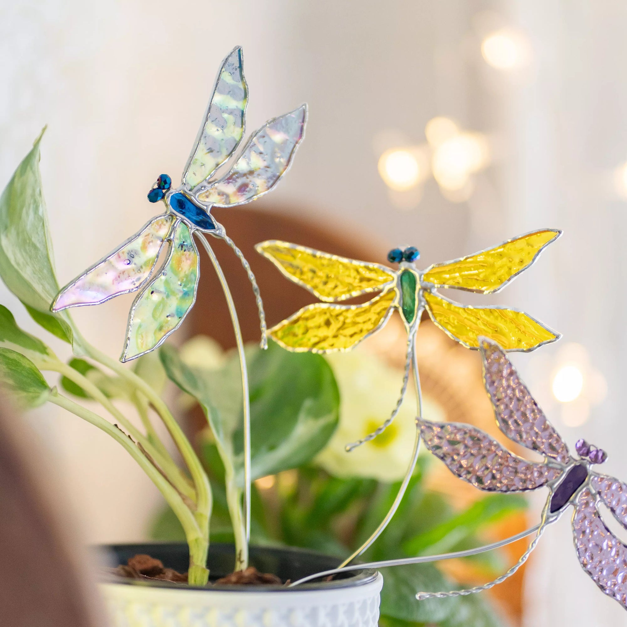 Stained glass dragonflies on a plant with a blurred background