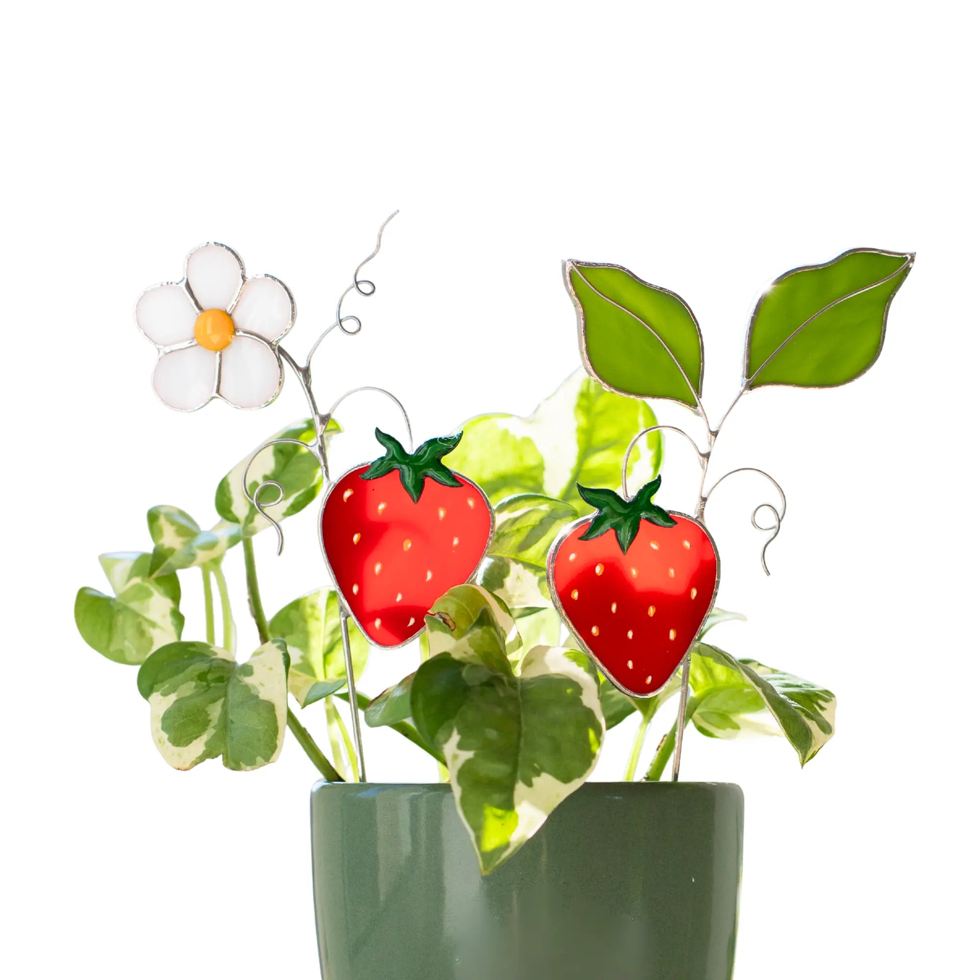 Decorative plant with strawberry stained glass plany stakes in a green pot on a white background