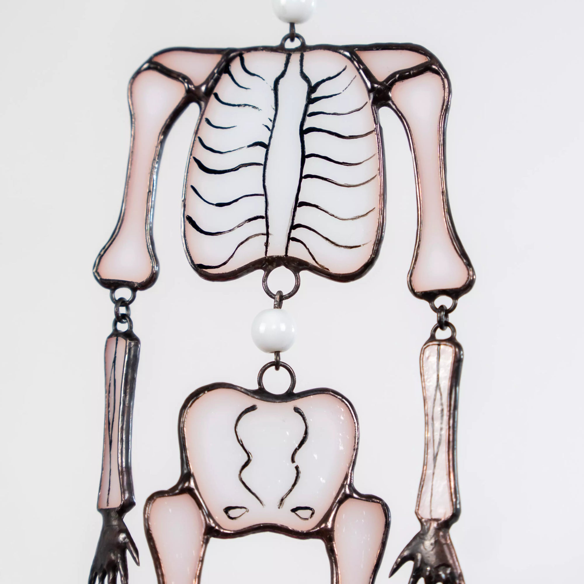 Close shot of pelvic bones and skeletal hands in glass suncatcher