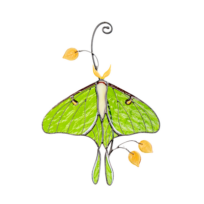 Luna moth stained glass hanging with soft white background.