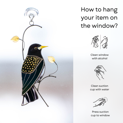 Illustration of how to hang the starling suncatcher on a window using a suction cup: clean window and suction cup, press a cup to the surface.