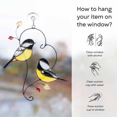 Chickadee birds hanging on a window with step-by-step suction cup instructions