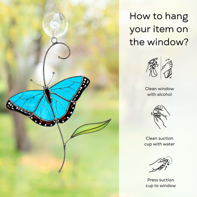 Hanging instructions for morpho butterfly suncatcher: clean window and suction cup, press a cup to the surface.