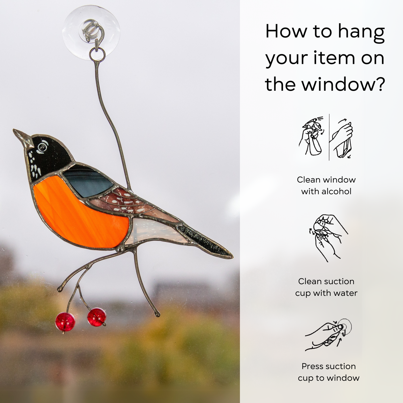 Stained glass american robin on window with step-by-step hanging instructions on right side: clean window and suction cup, press a cup to the surface.
