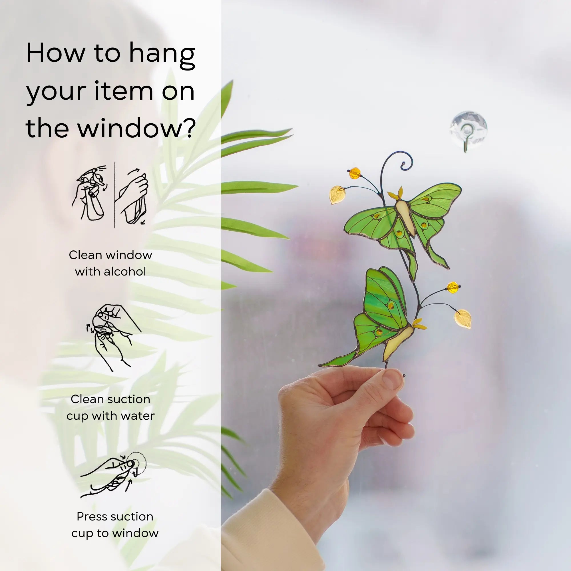 Instructions on how to hang a stained glass luna moth butterflies suncatcher on a window: clean window and suction cup, press a cup to the surface