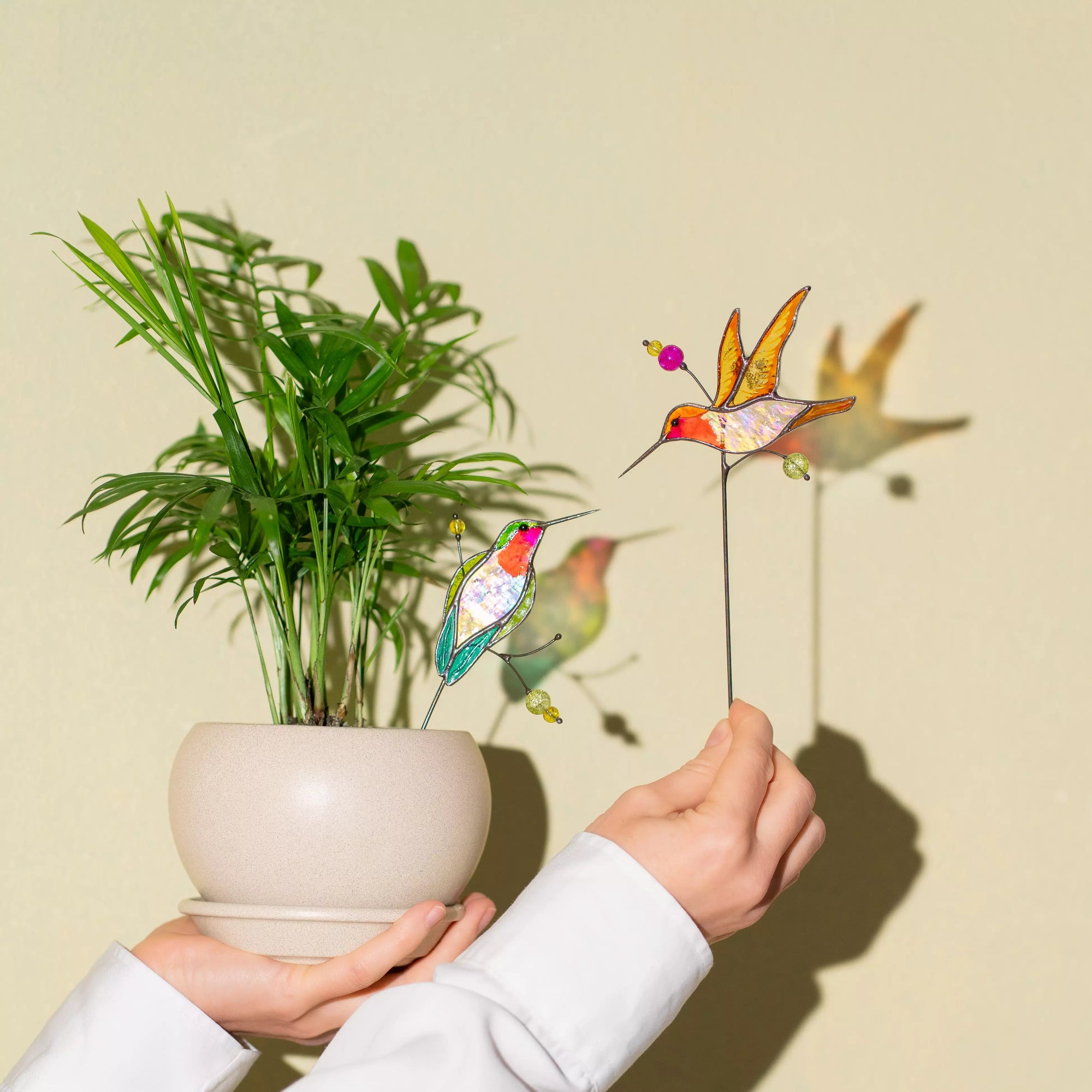 Person holding a potted plant with stained glass hummingbird-shaped garden stakes against a beige wall.