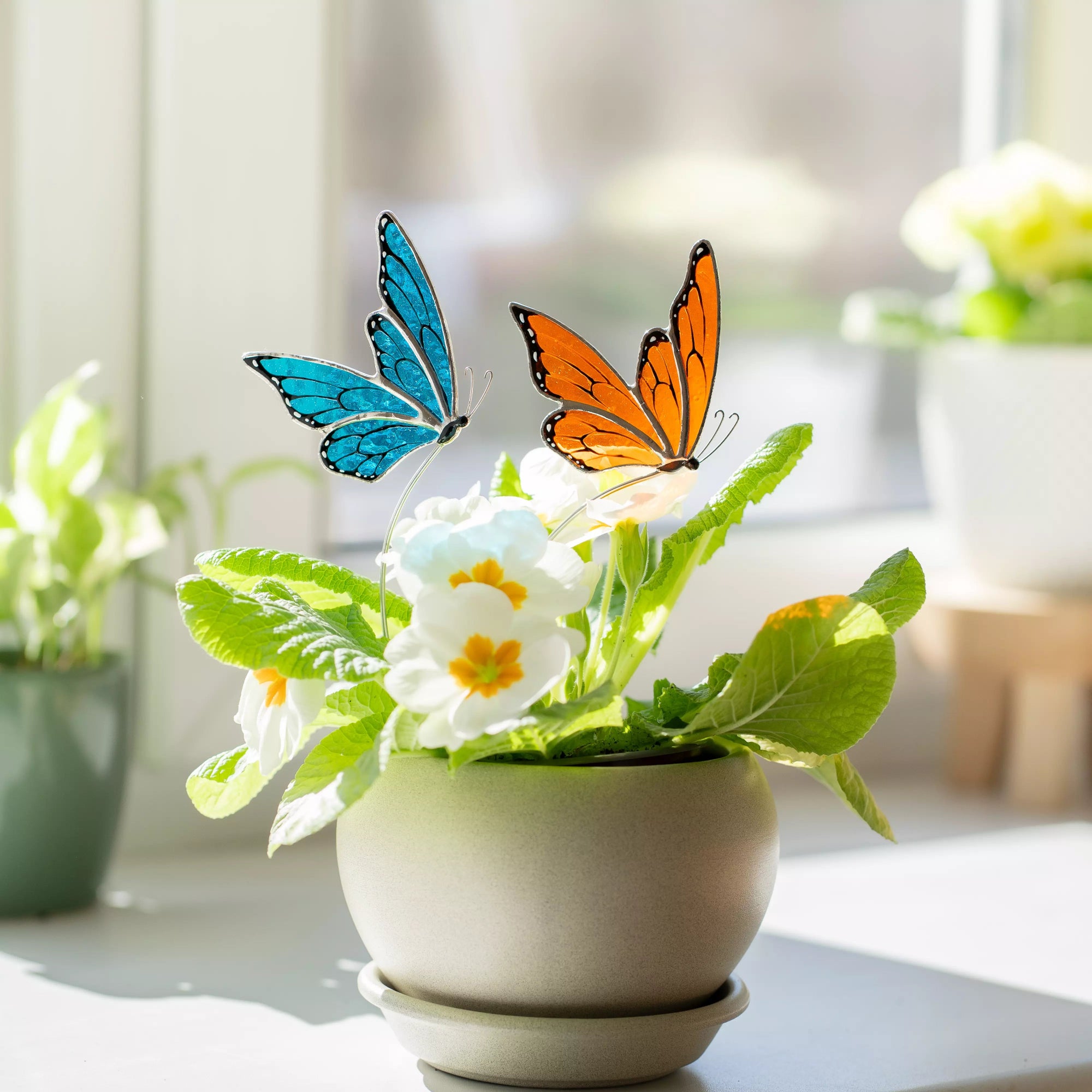 Two stained glass butterflies, one blue and one orange, decorating a pot of white primrose flowers.