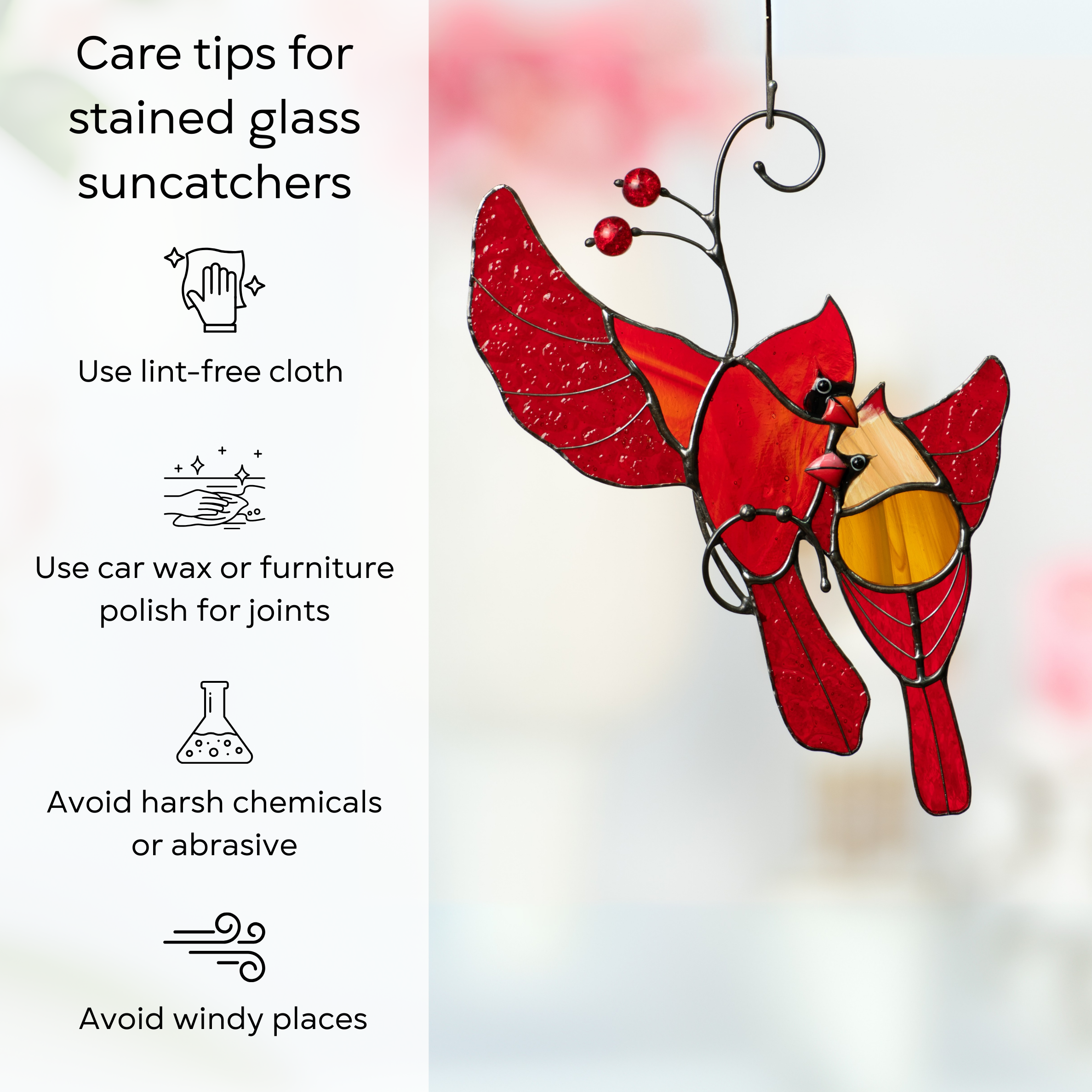 Cardinals in air with care tips: lint-free cloth, polish for joints, avoid wind and harsh cleaners