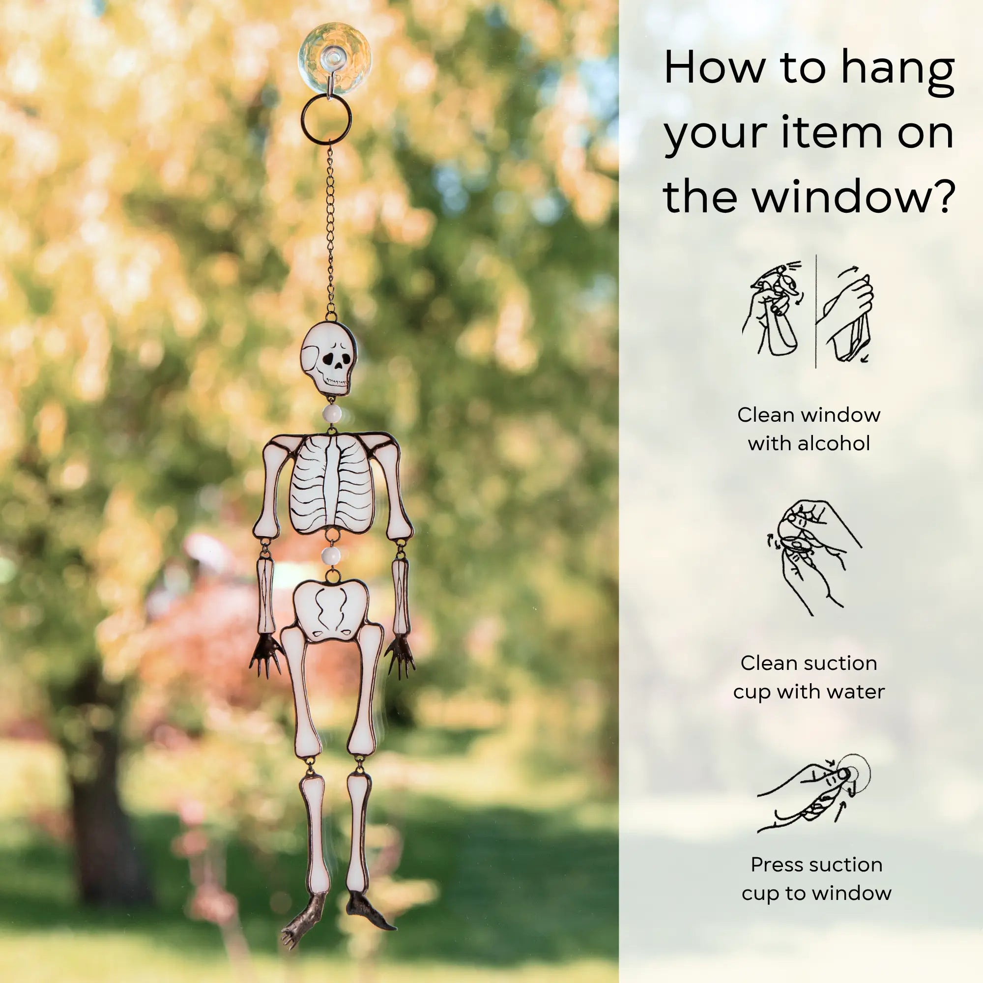 Halloween skeleton suncatcher hanging on window with instructions: clean window and suction cup, press a cup to the surface
