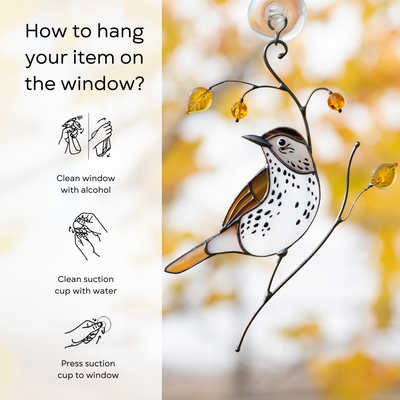 Instructions for hanging a stained glass bird on window using suction cup