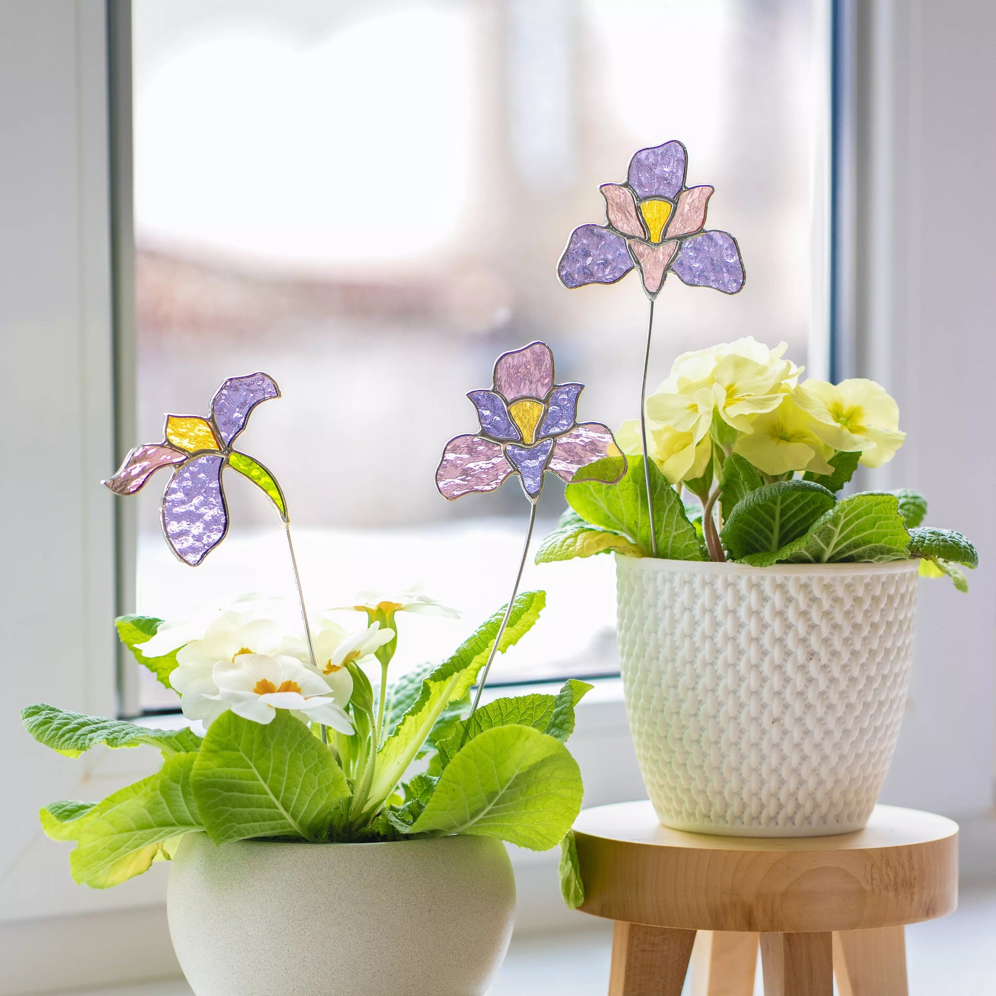 Two potted plants with stained glass iris flowers in front of a window.