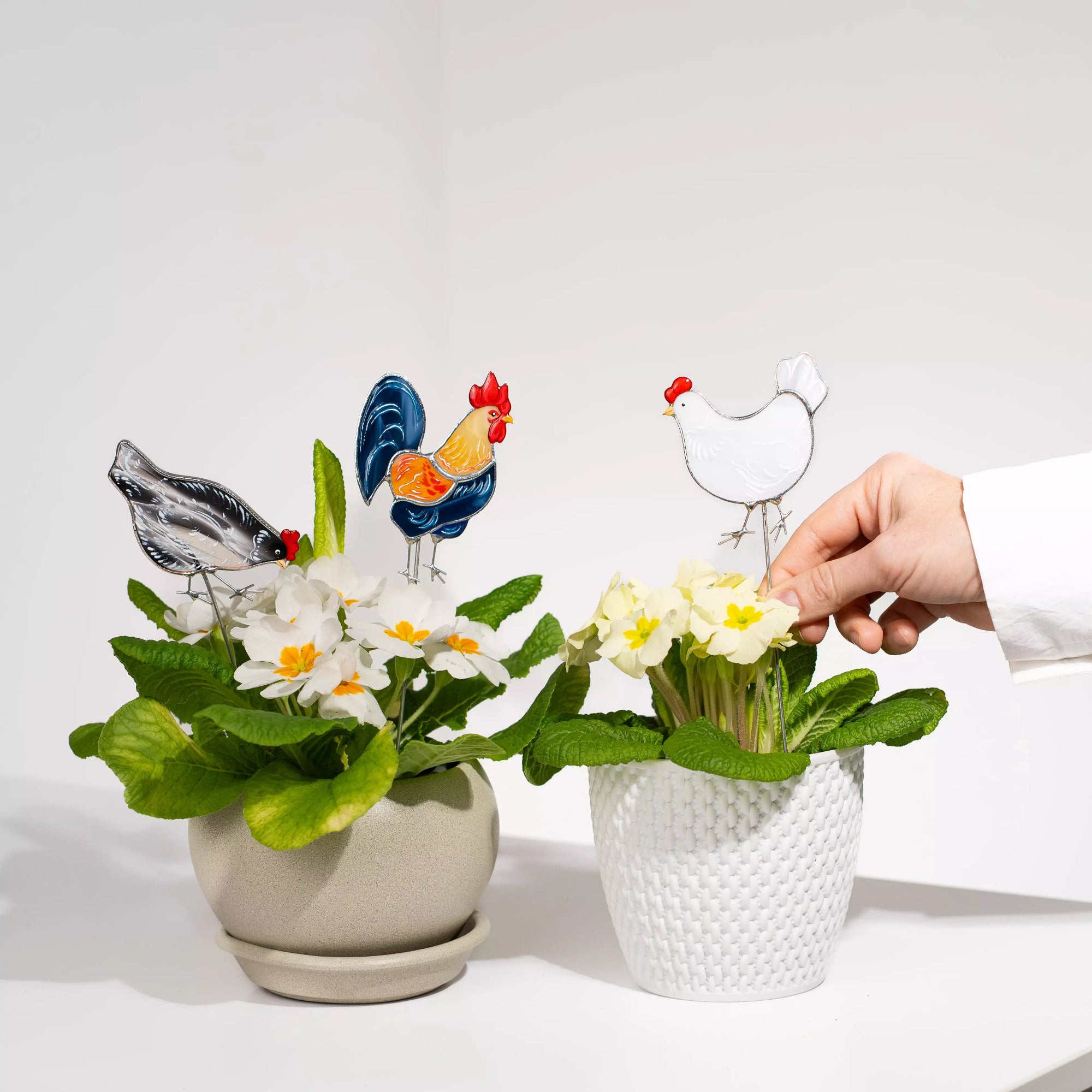 Two small potted plants with stained glass chicken and rooster plant stakes on a white background